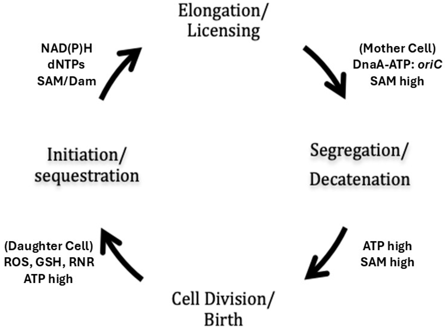 Biomolecules 15 00203 g002 Biomolecules 15 00203 g002