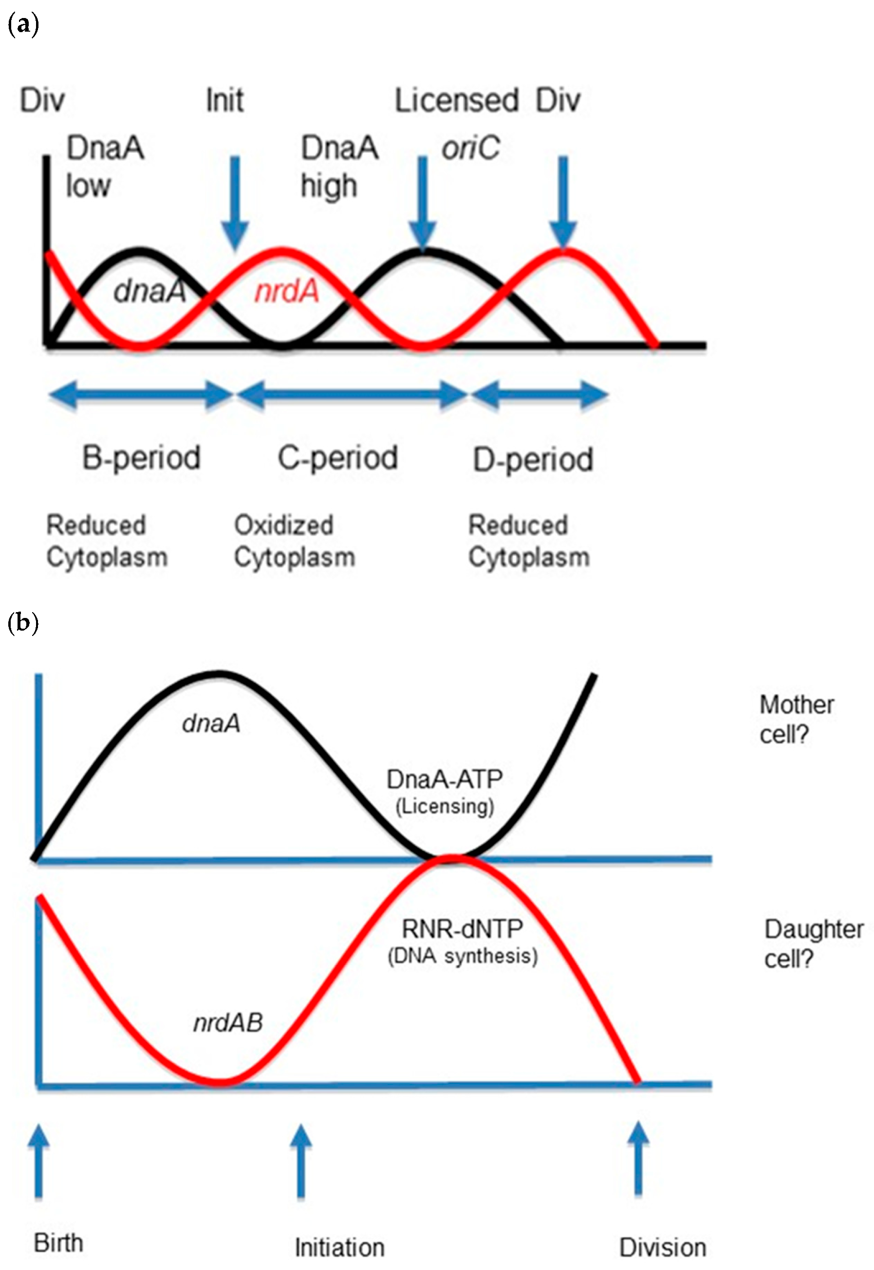 Biomolecules 15 00203 g004 Biomolecules 15 00203 g004