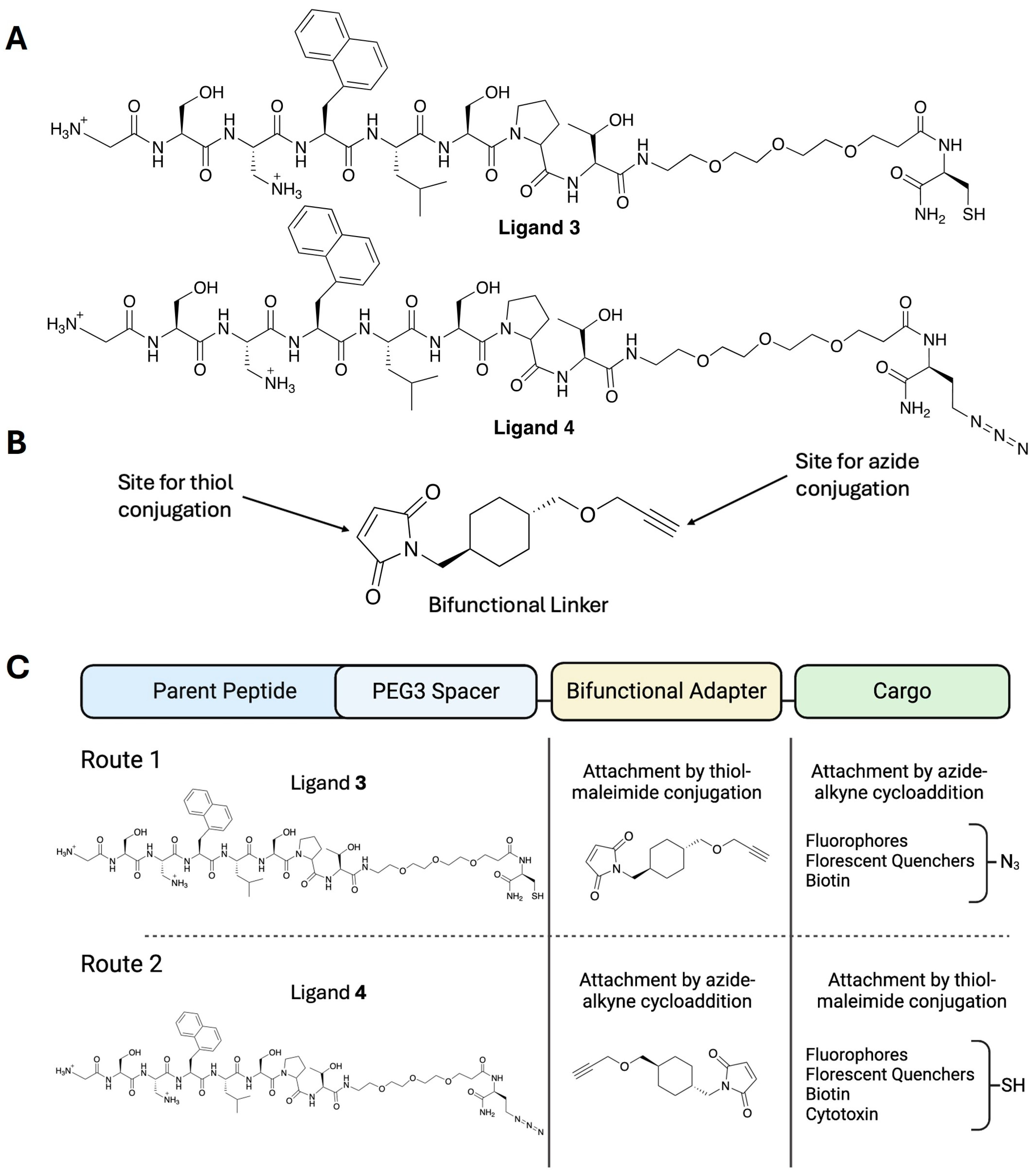 Biomolecules 15 00204 g002