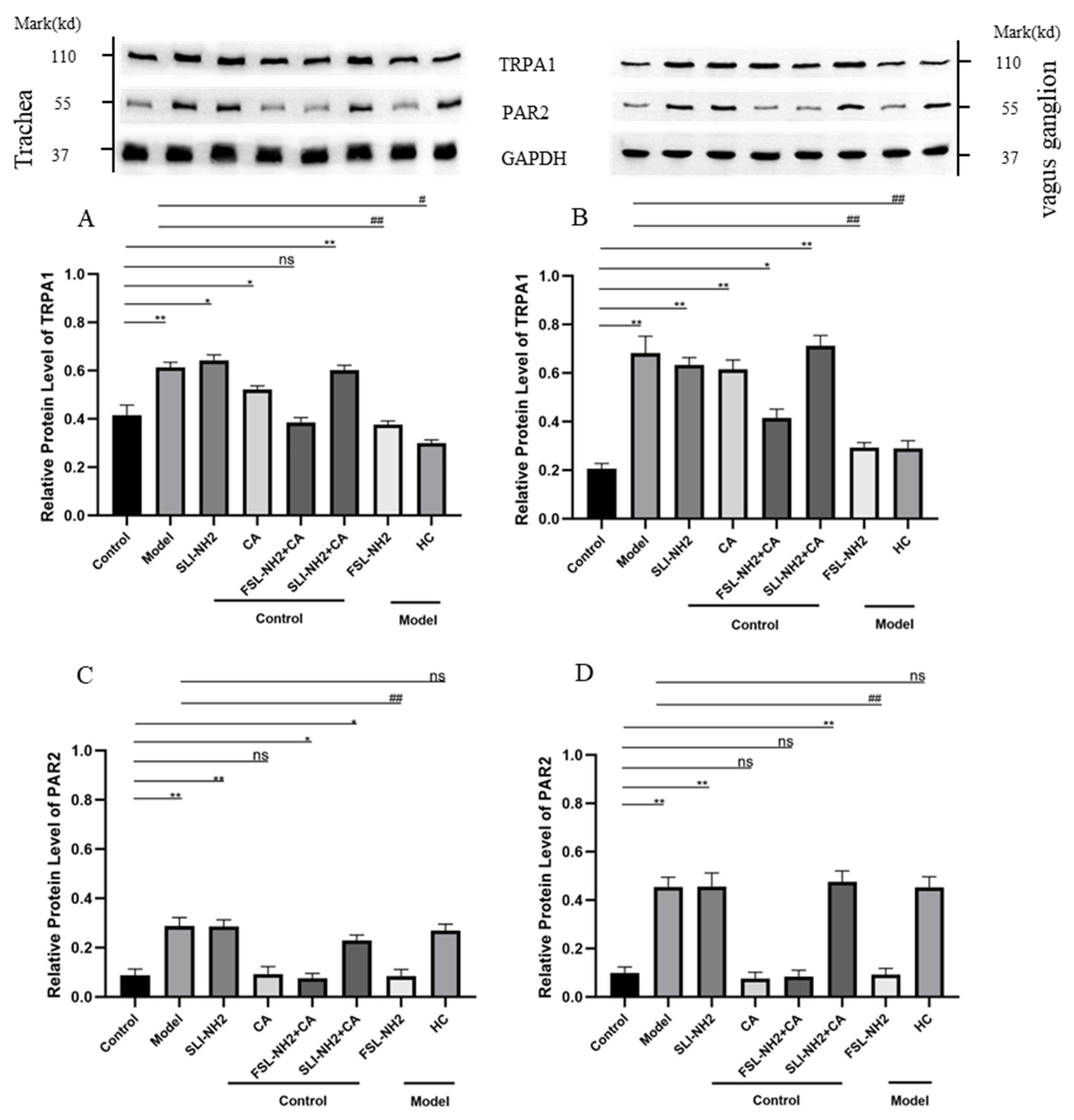 Biomolecules 15 00208 g003