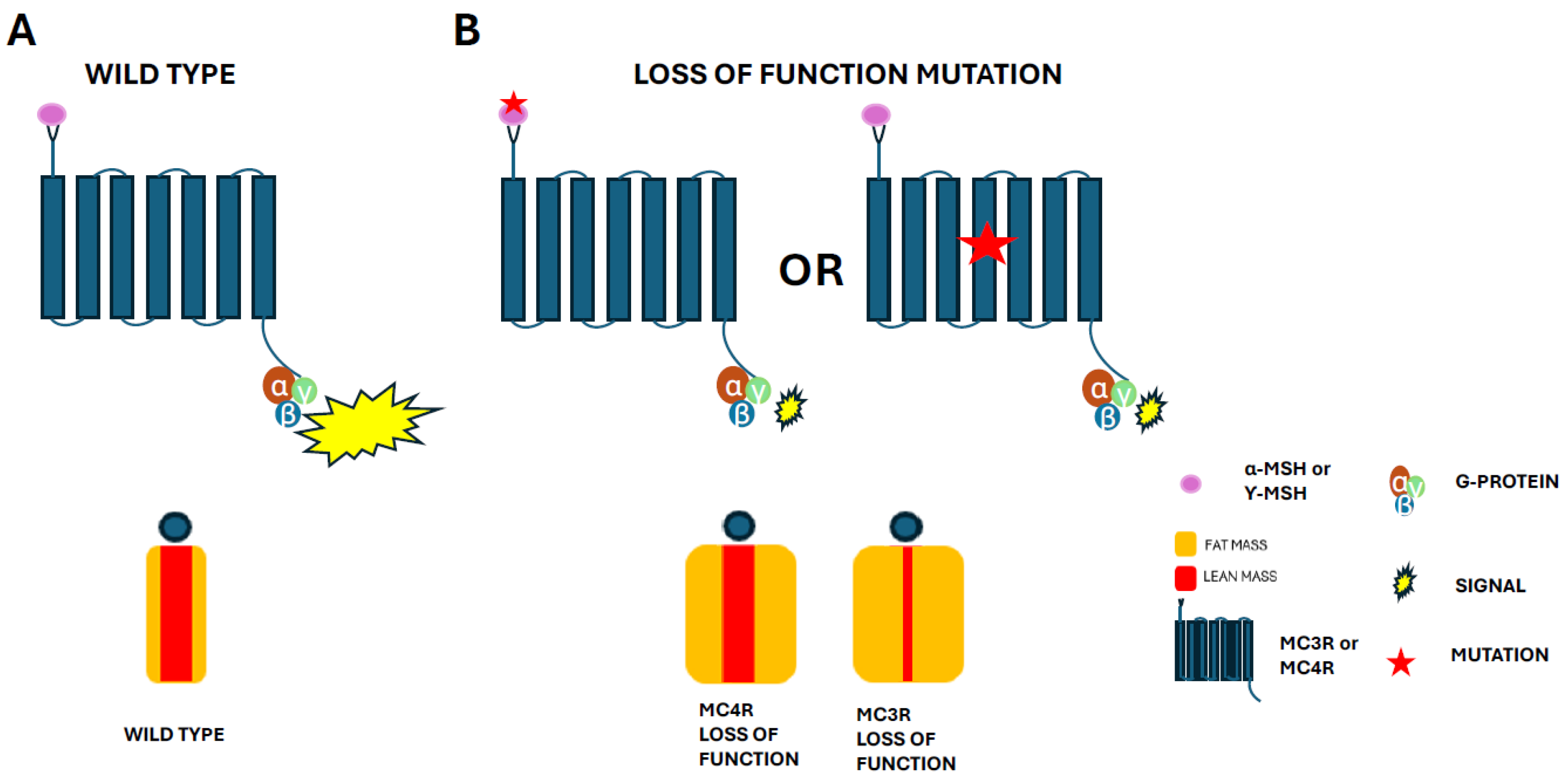 Biomolecules 15 00209 g002