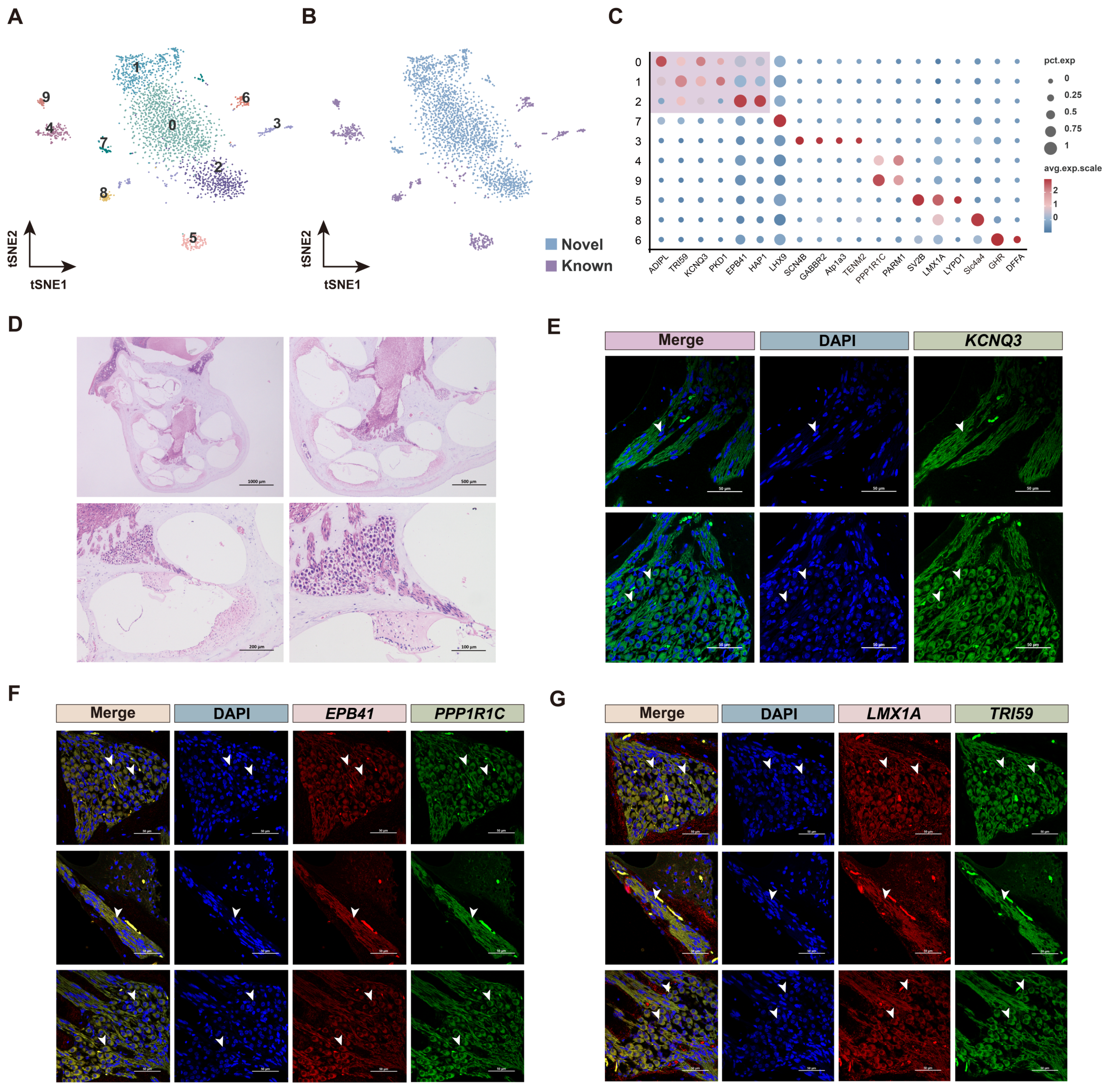 Biomolecules 15 00211 g002 Biomolecules 15 00211 g002