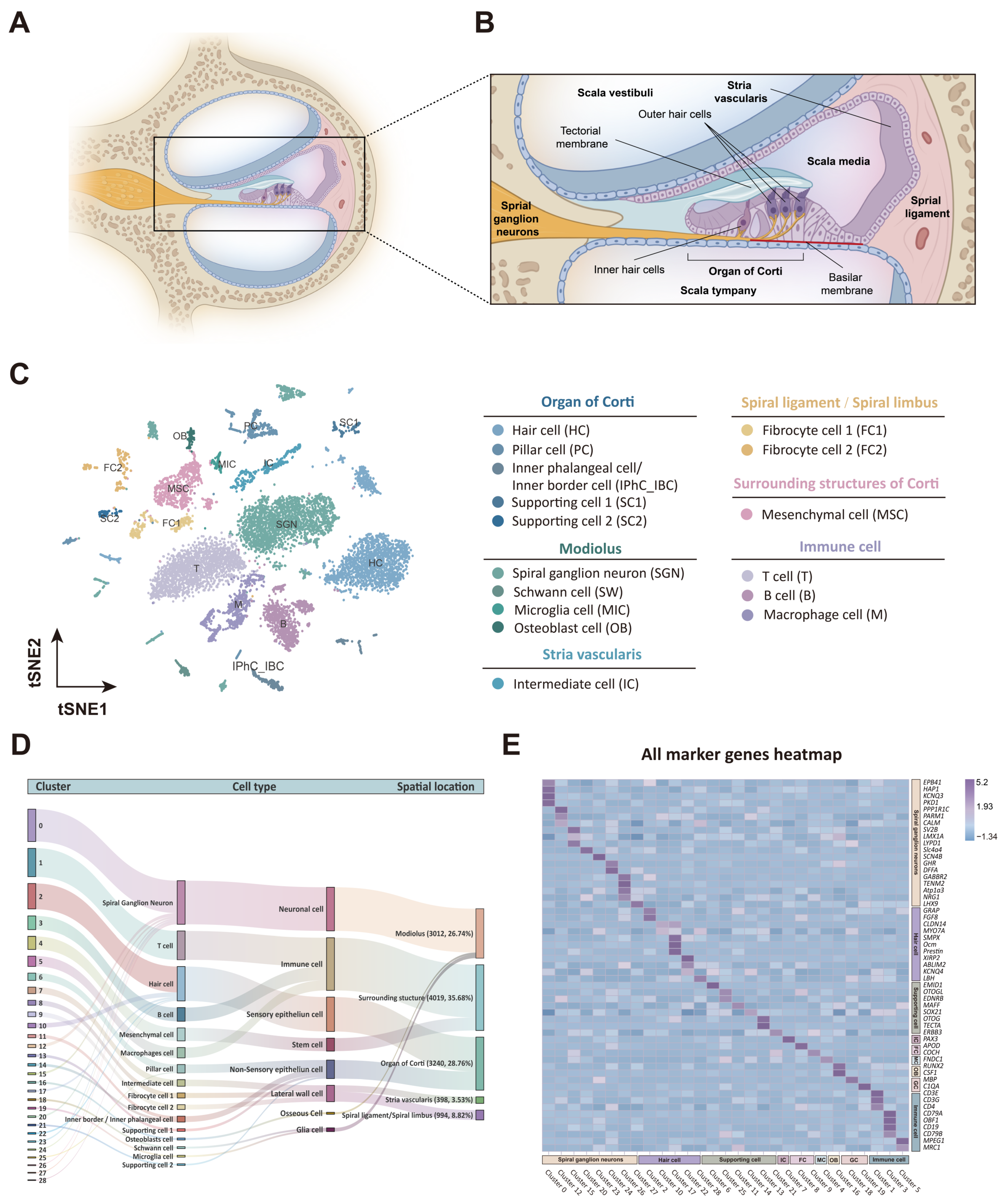 Biomolecules 15 00211 g003 Biomolecules 15 00211 g003