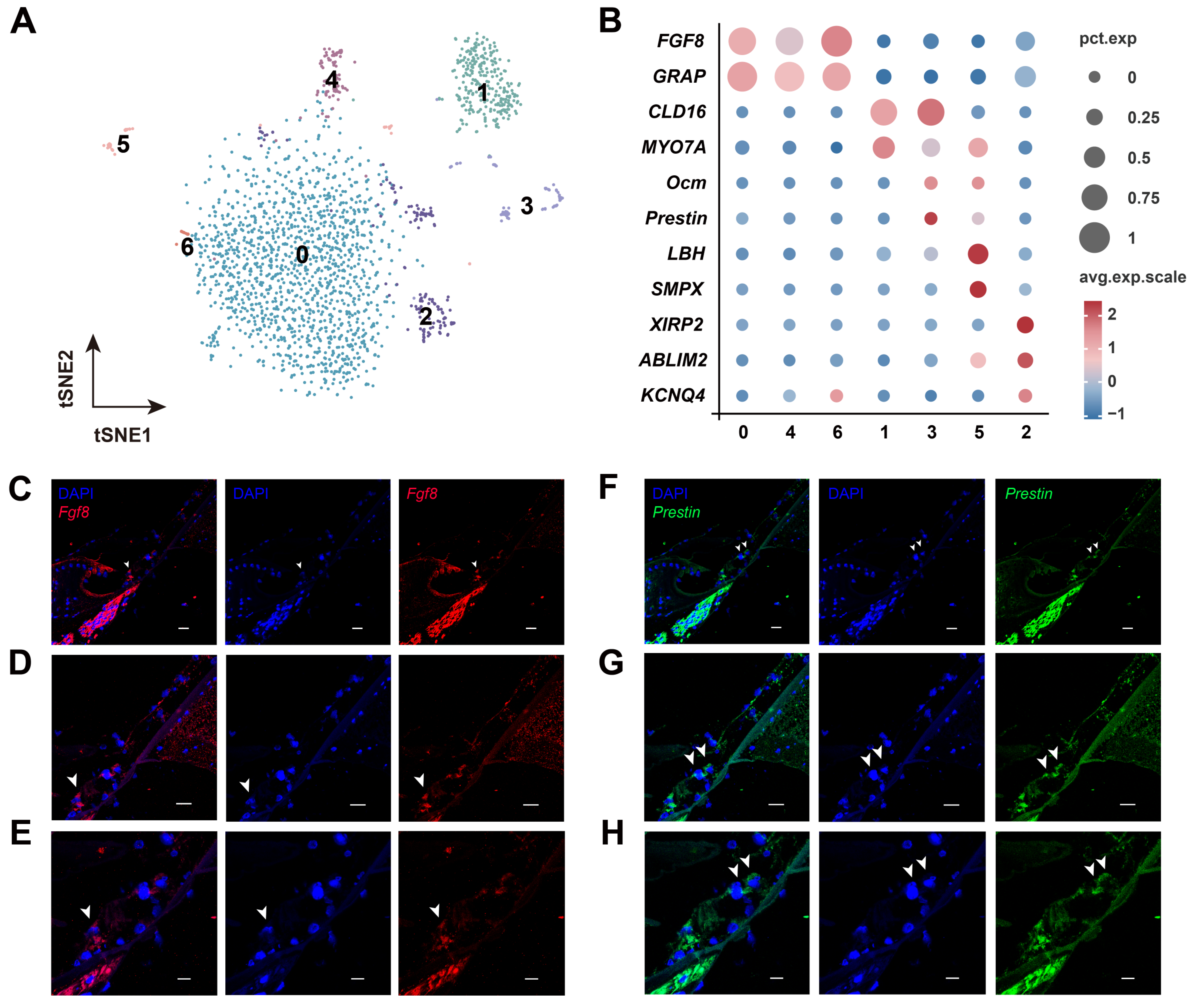 Biomolecules 15 00211 g004 Biomolecules 15 00211 g004