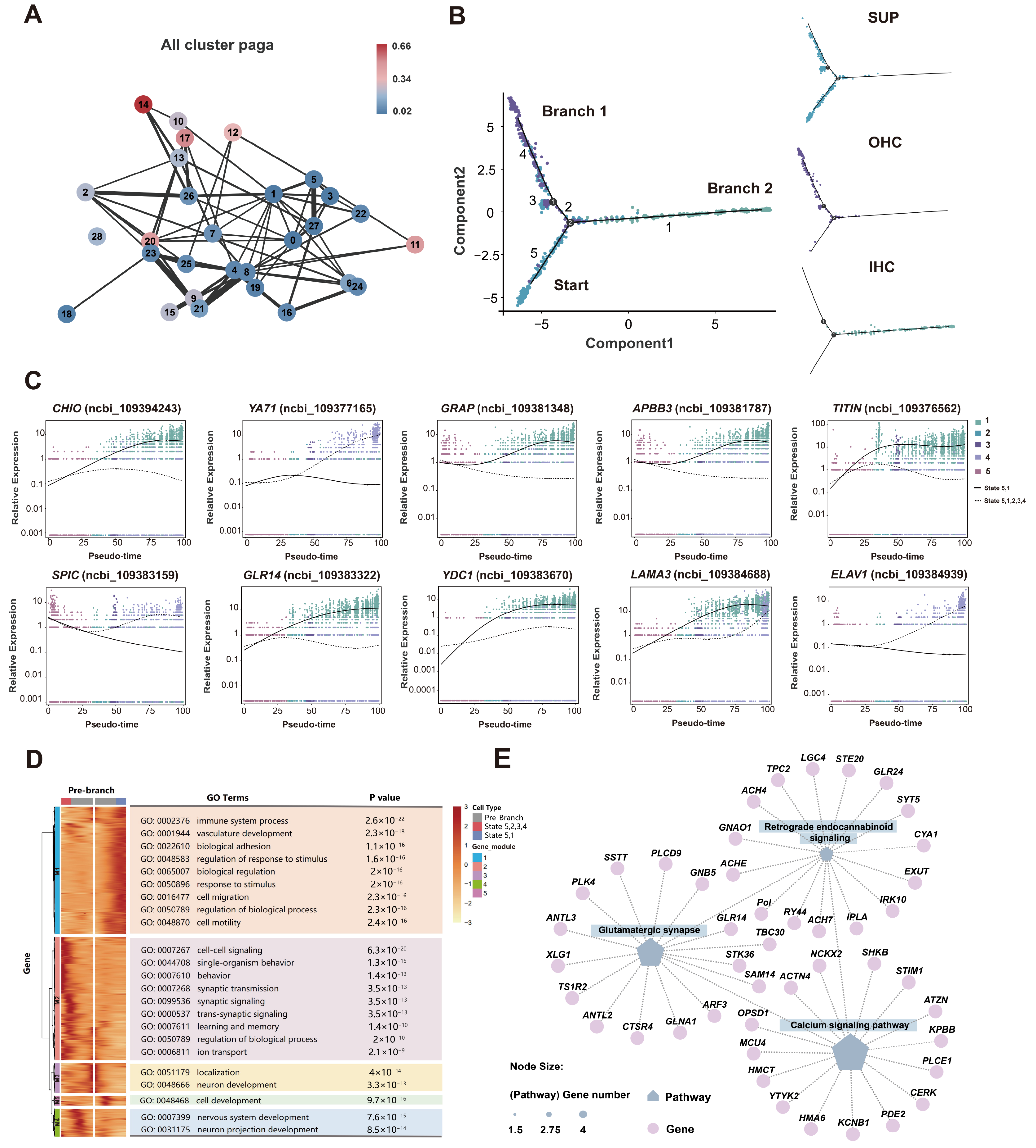 Biomolecules 15 00211 g005 Biomolecules 15 00211 g005