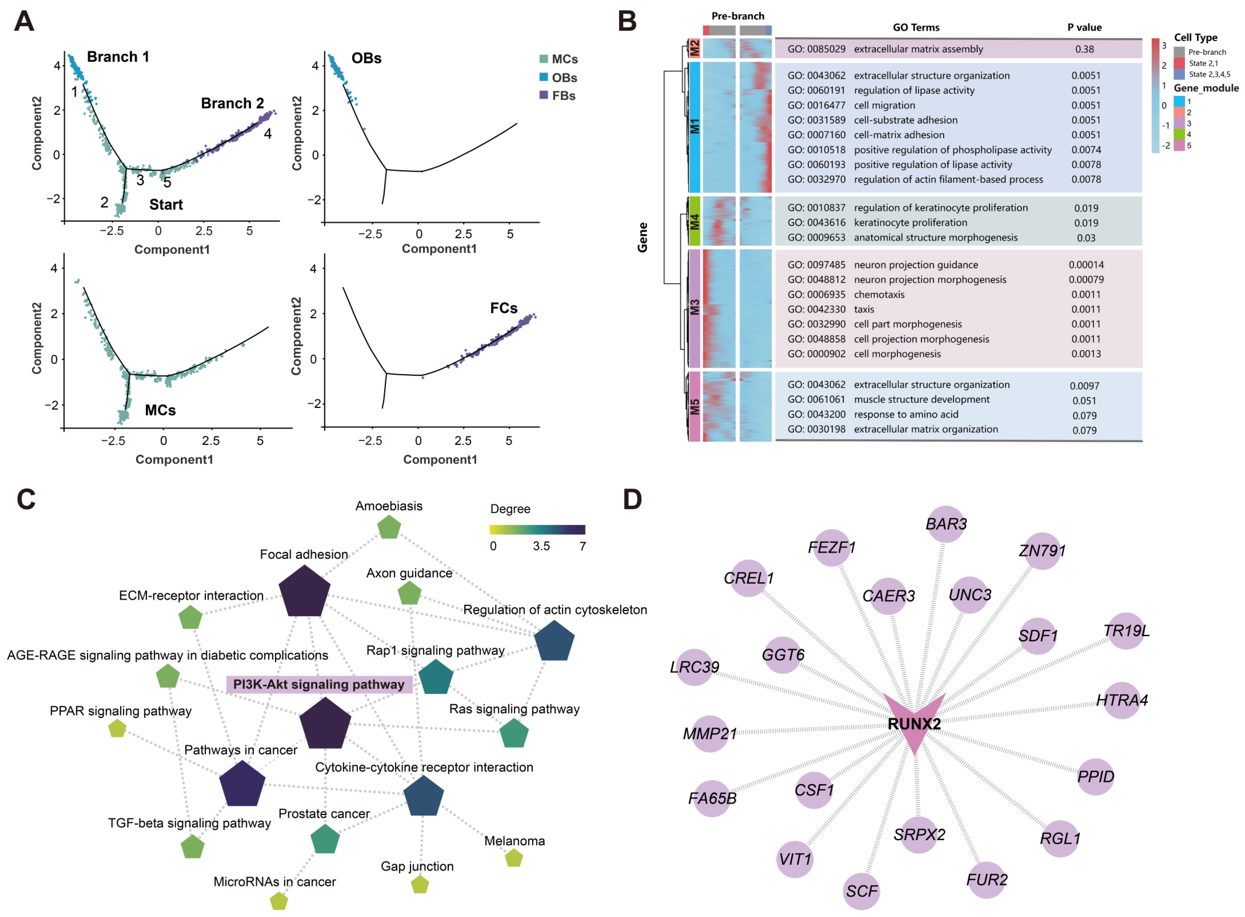 Biomolecules 15 00211 g006 Biomolecules 15 00211 g006