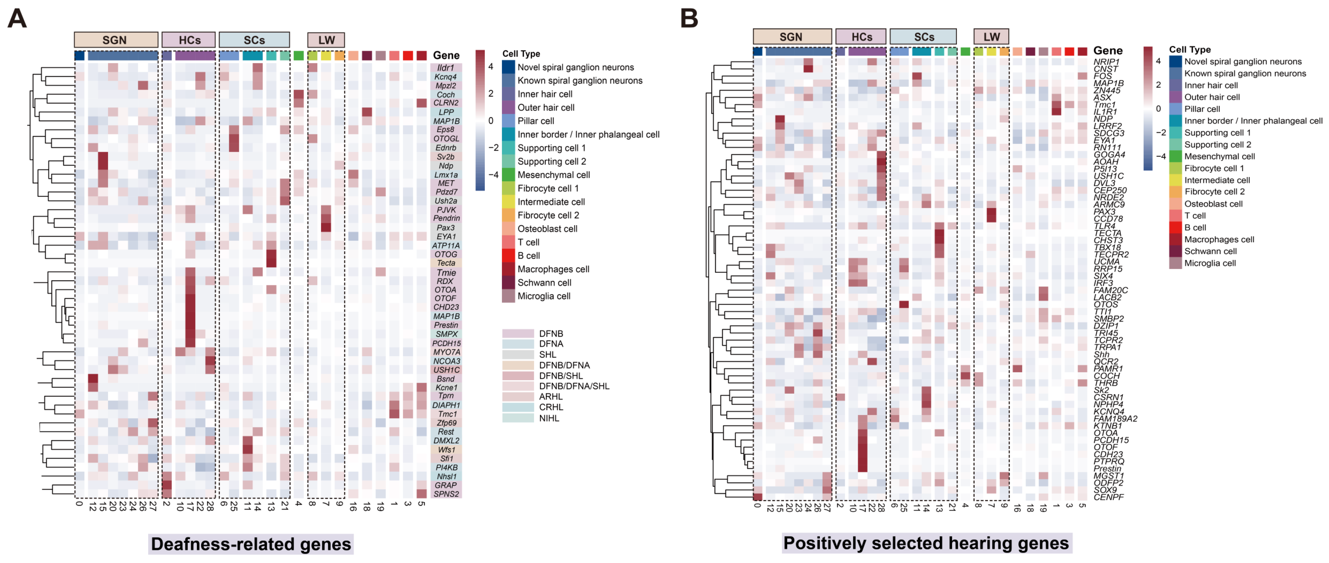 Biomolecules 15 00211 g007 Biomolecules 15 00211 g007