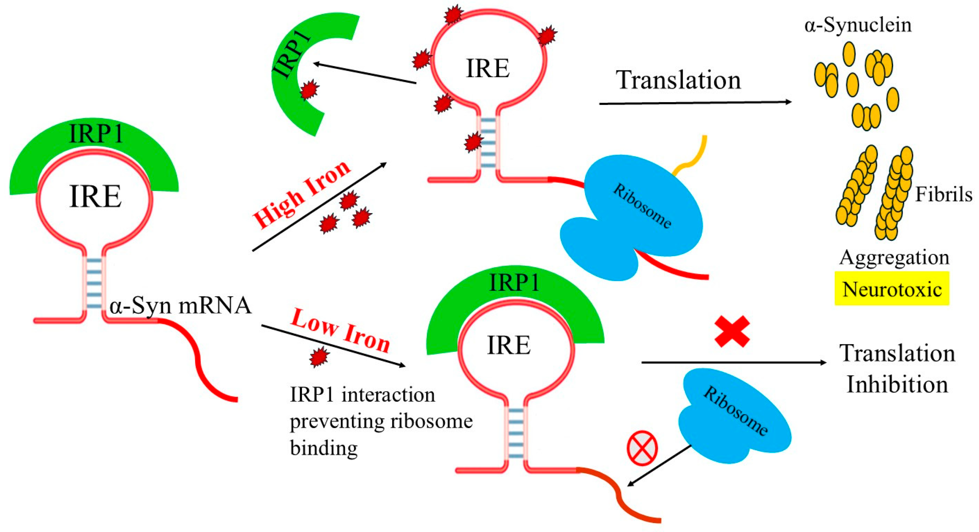 Biomolecules 15 00214 g009