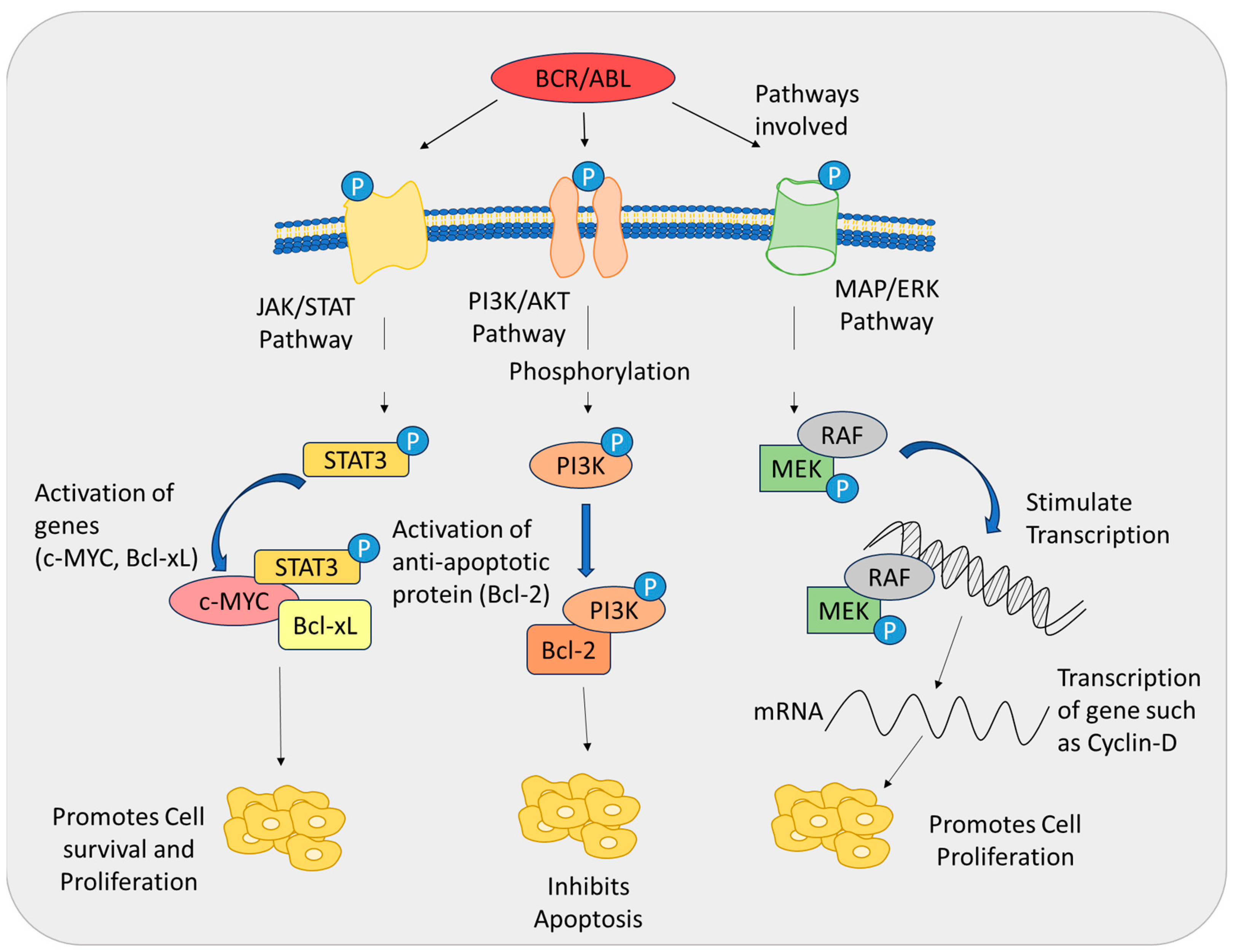 Biomolecules 15 00215 g003