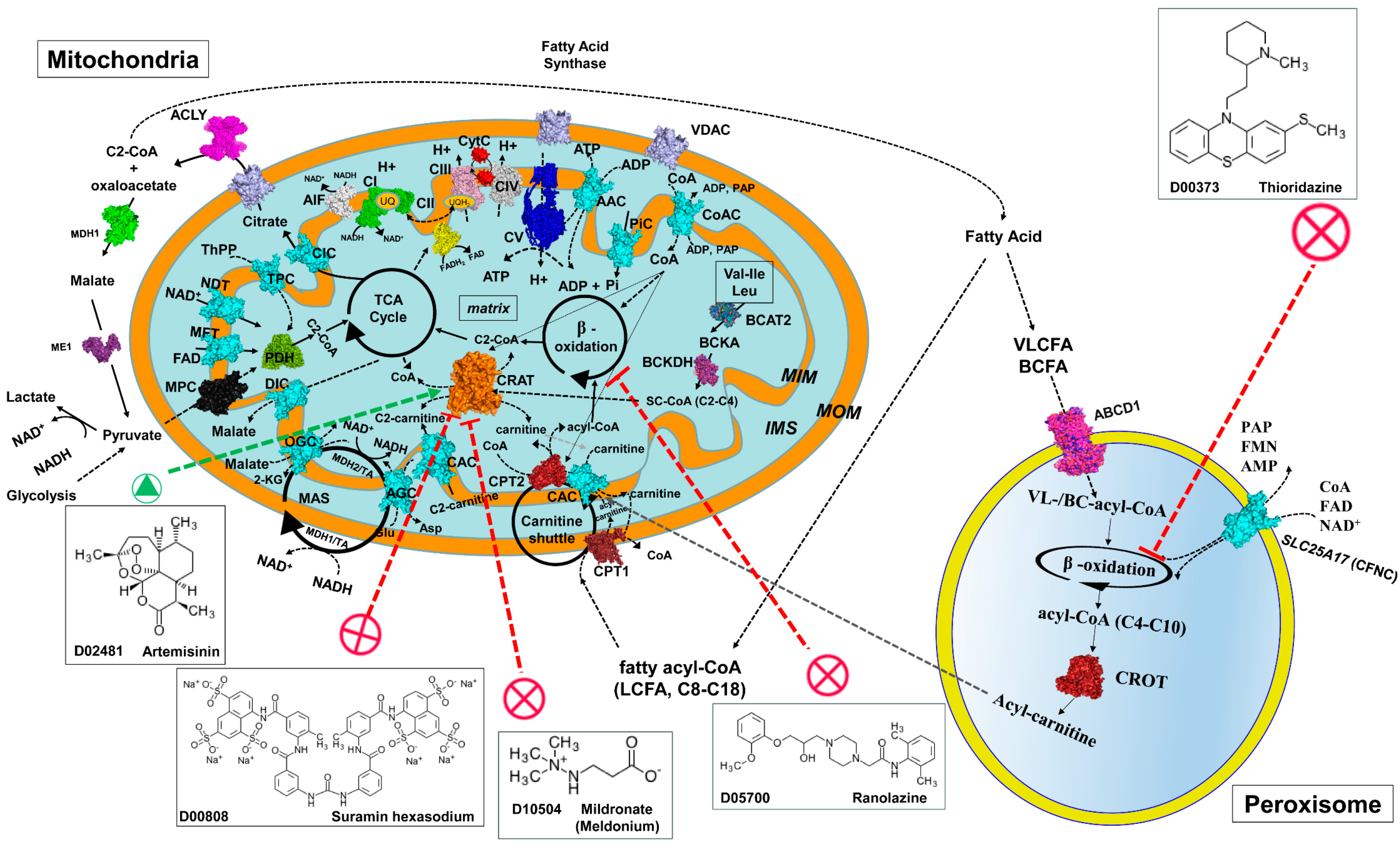 Biomolecules 15 00216 g001 Biomolecules 15 00216 g001