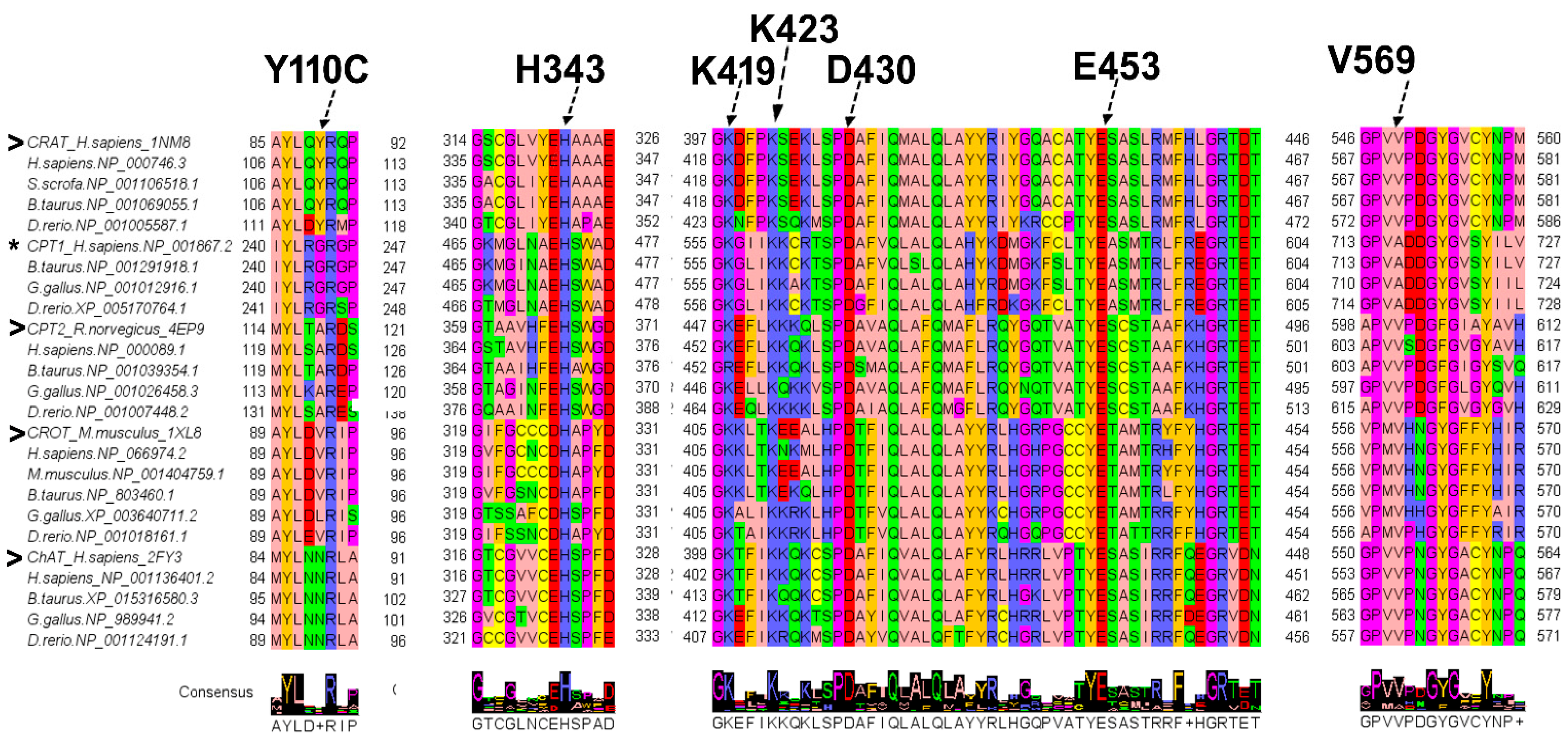 Biomolecules 15 00216 g002 Biomolecules 15 00216 g002