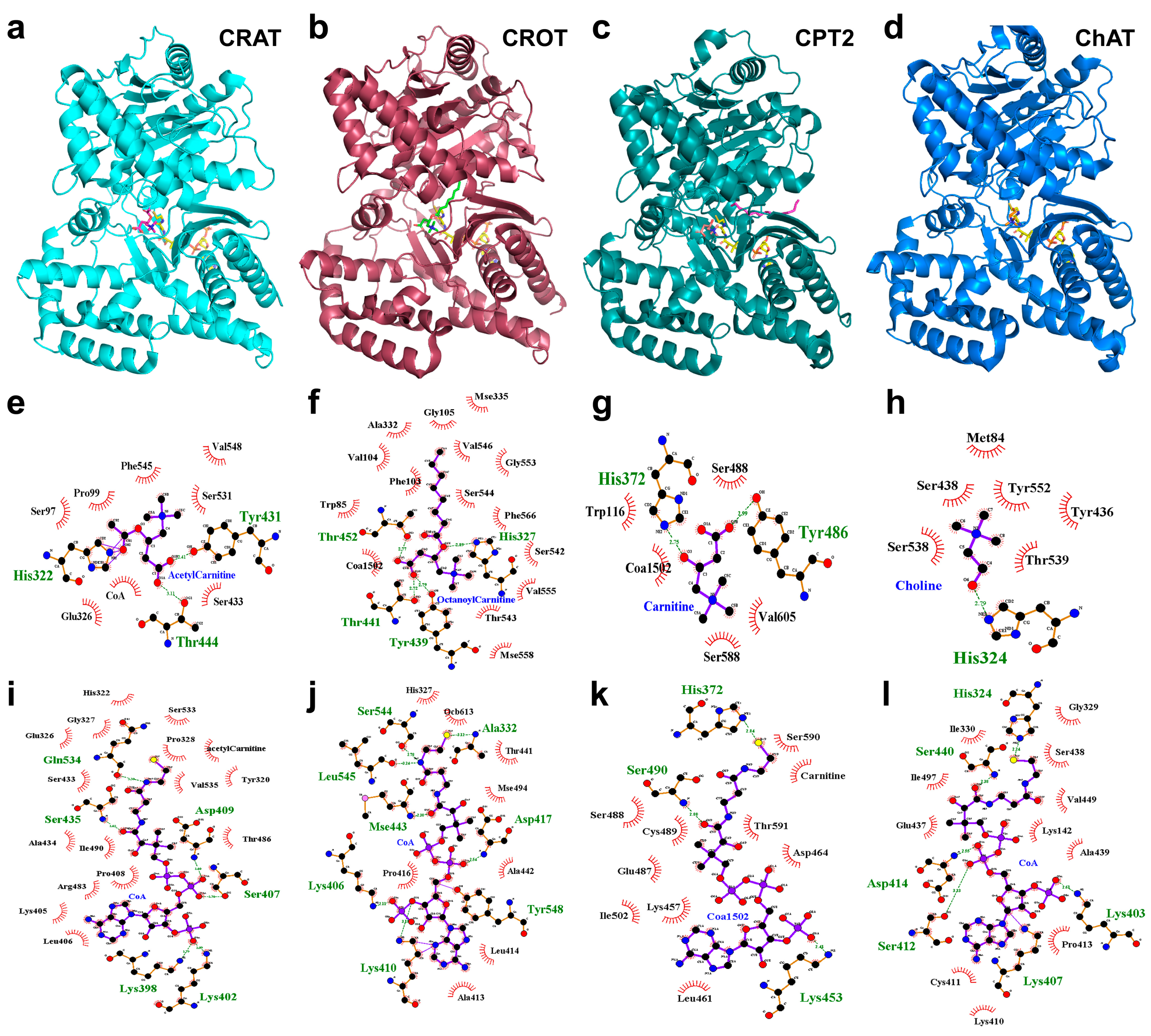 Biomolecules 15 00216 g003 Biomolecules 15 00216 g003