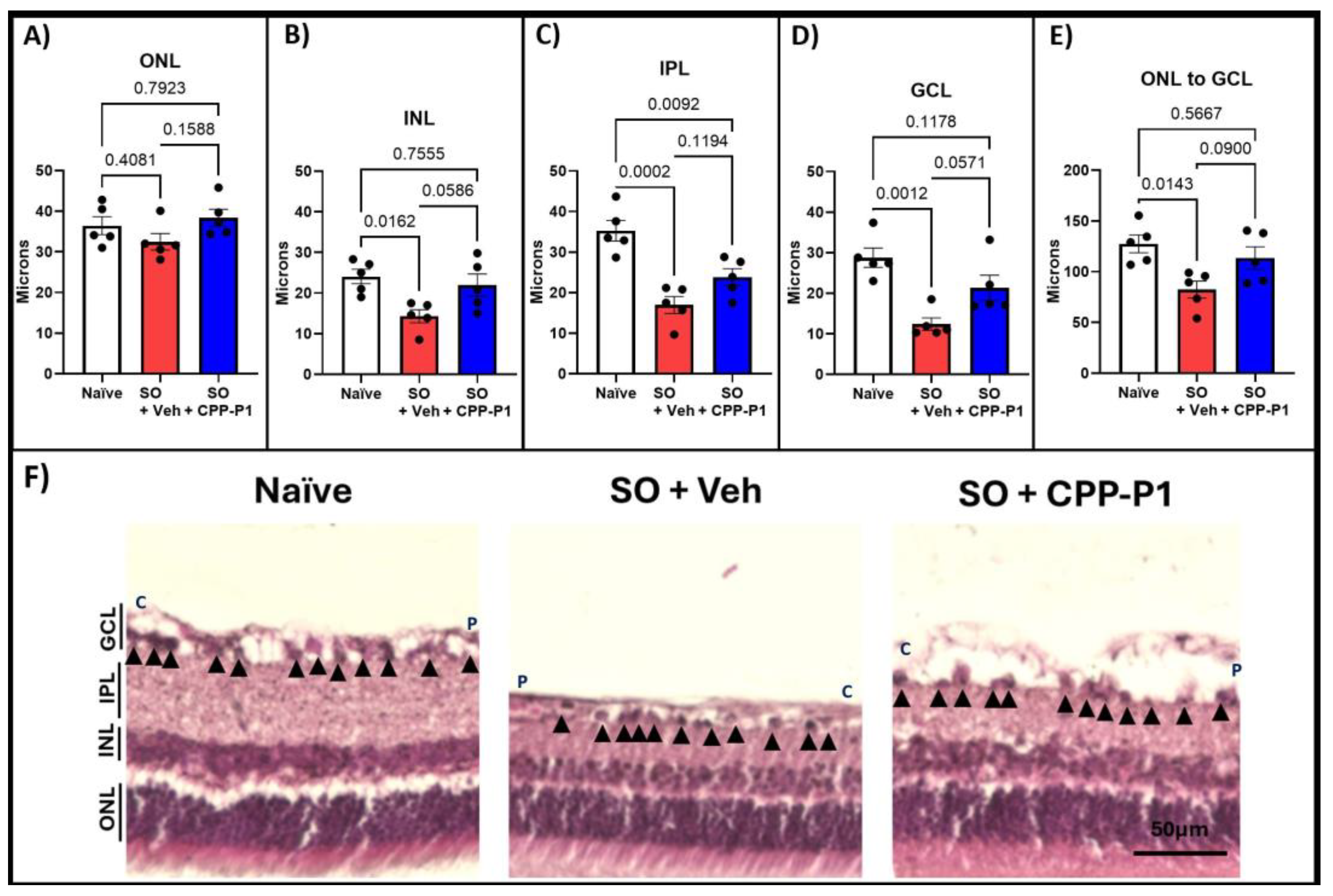 Biomolecules 15 00219 g002