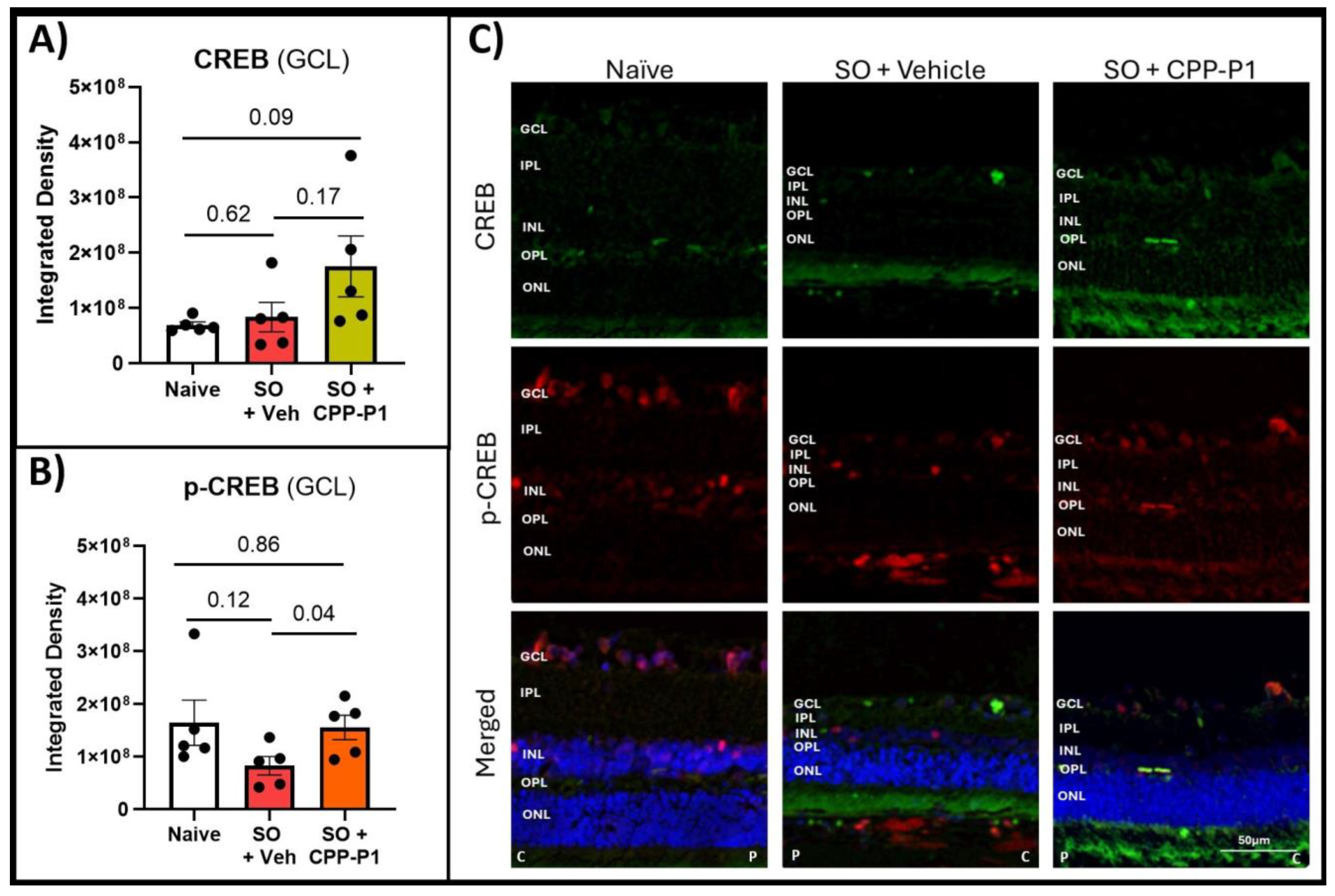 Biomolecules 15 00219 g003