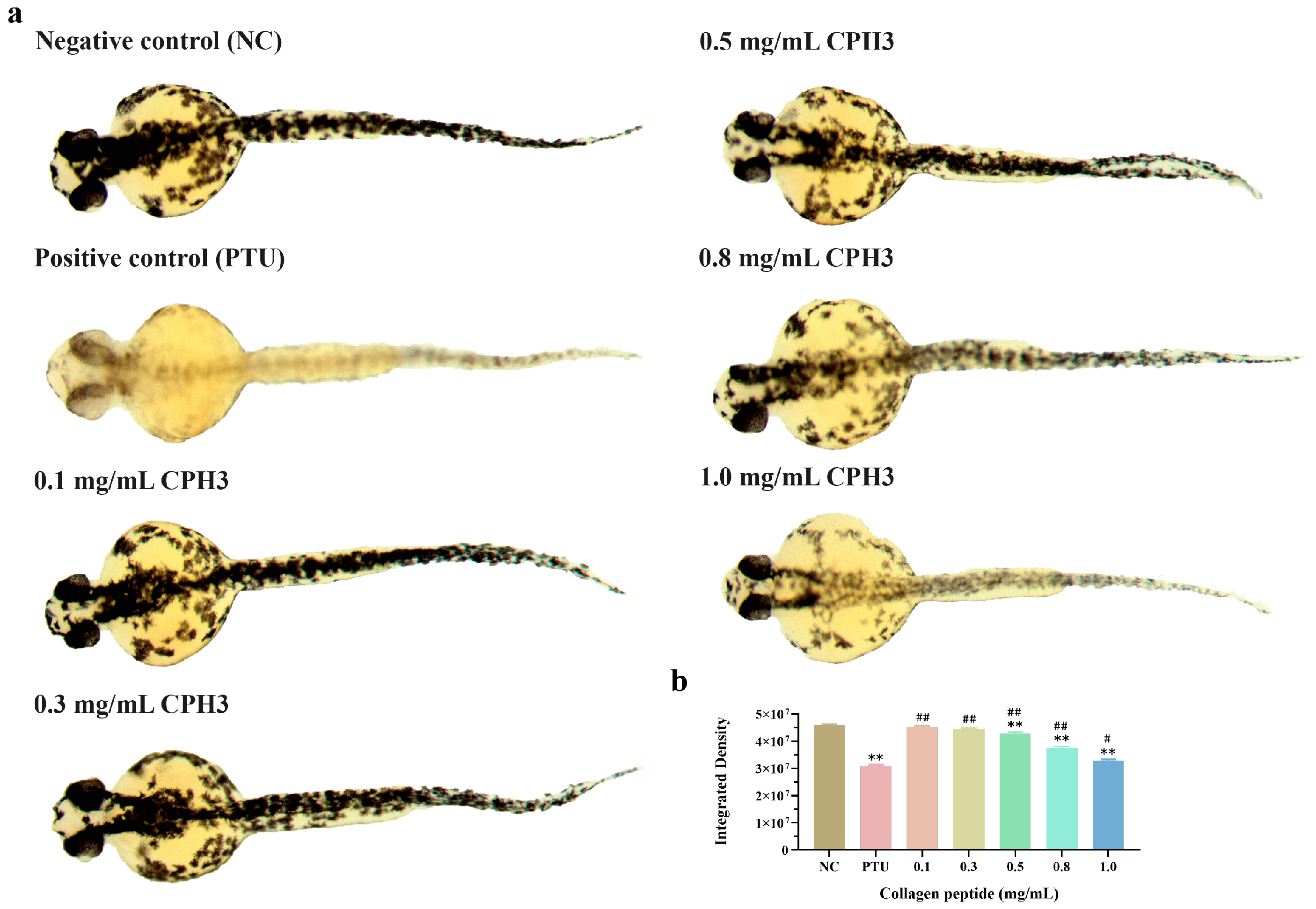 Biomolecules 15 00220 g006