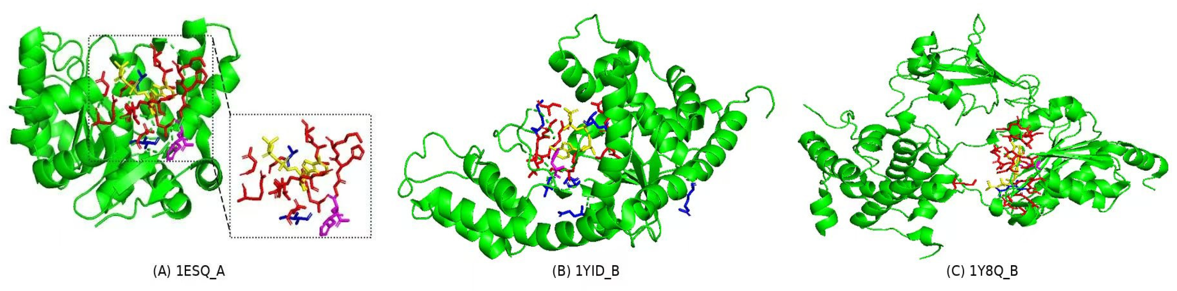 Biomolecules 15 00221 g002
