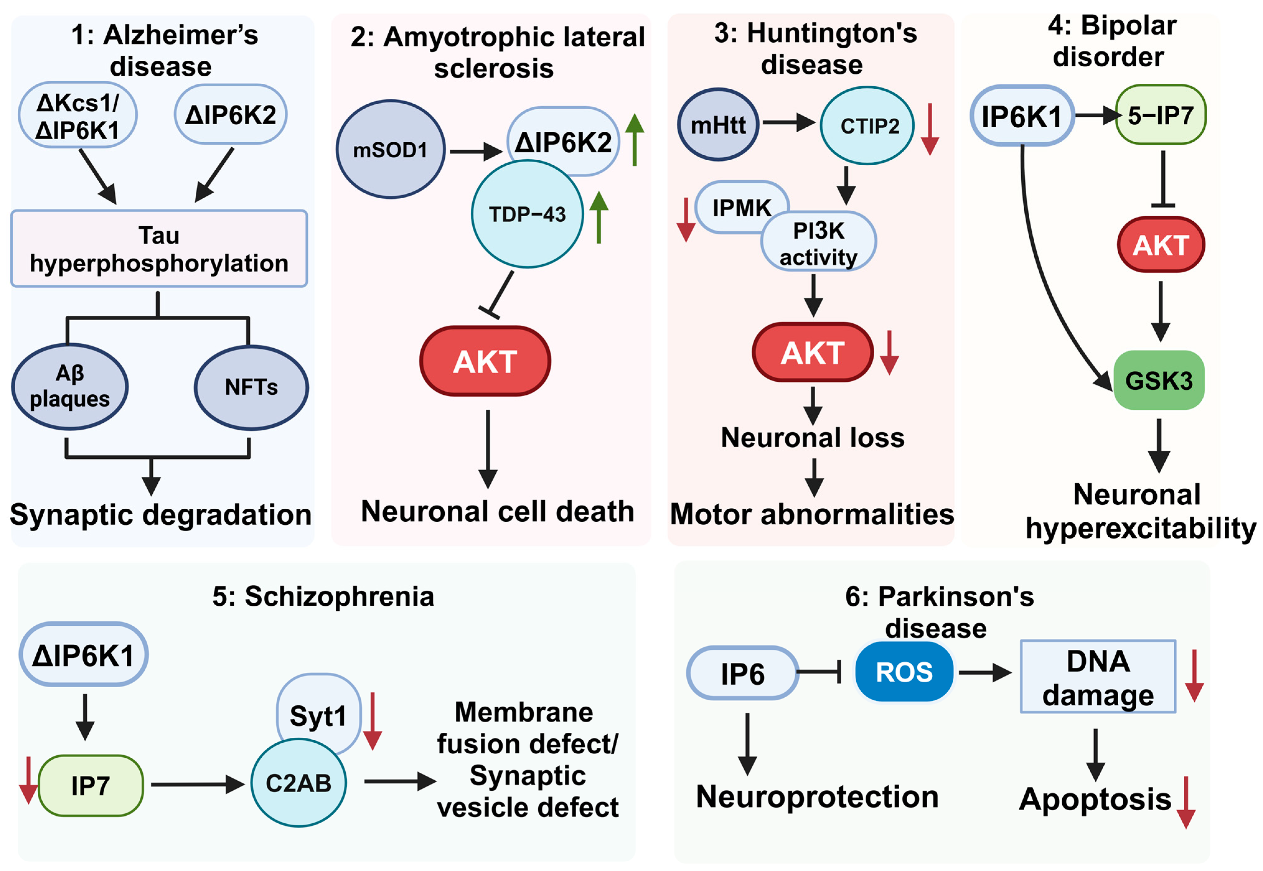 Biomolecules 15 00225 g003 Biomolecules 15 00225 g003