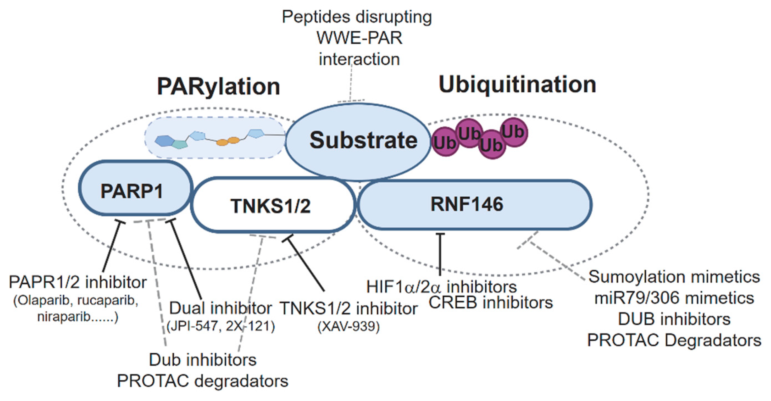 Biomolecules 15 00237 g005