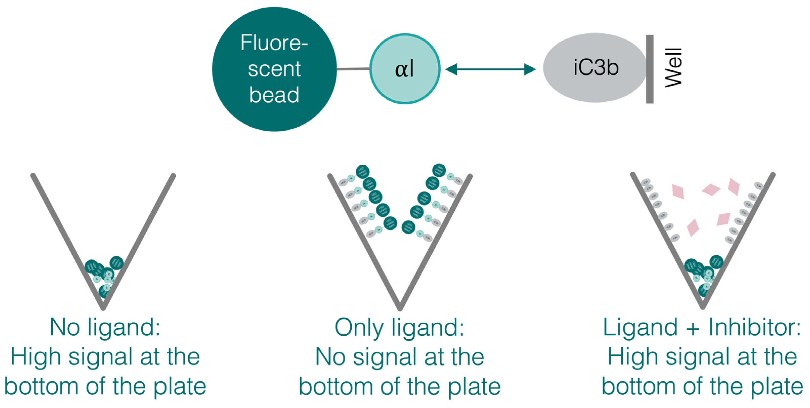 Biomolecules 15 00238 g006