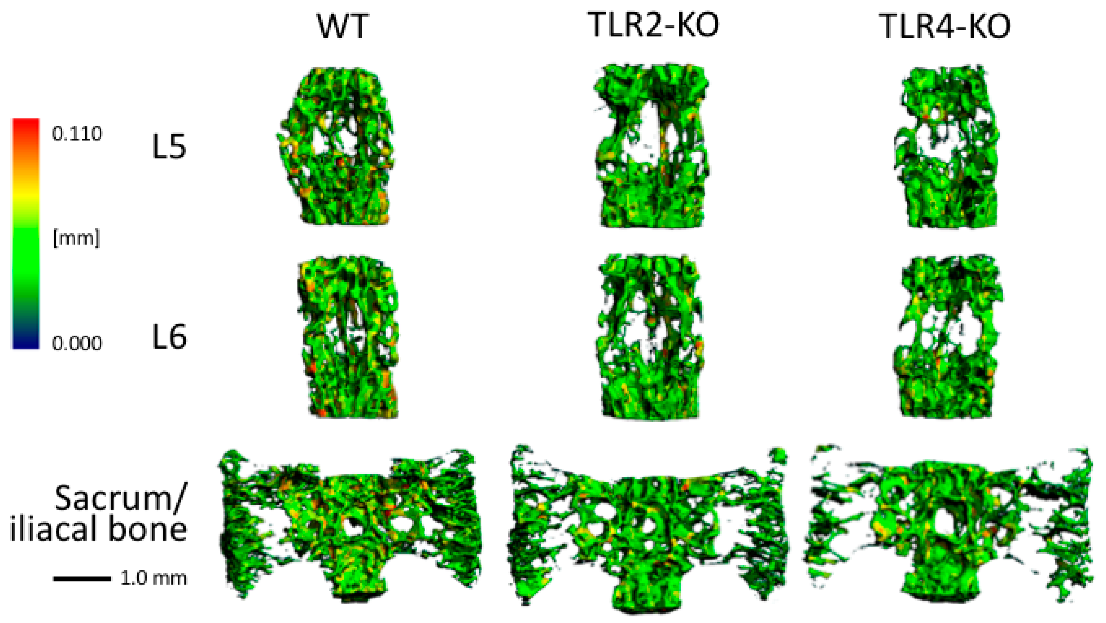 Biomolecules 15 00239 g006