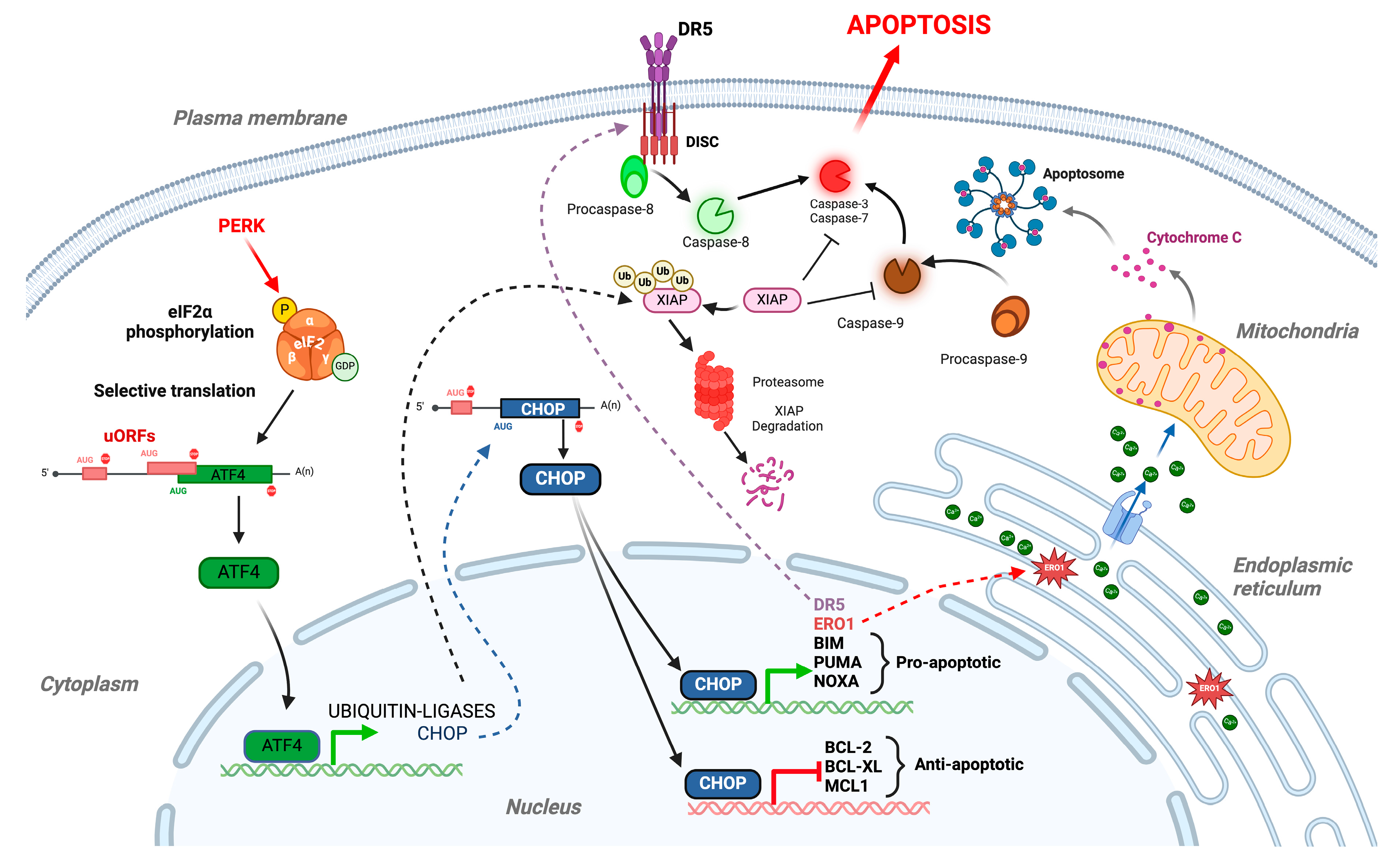 Biomolecules 15 00248 g003