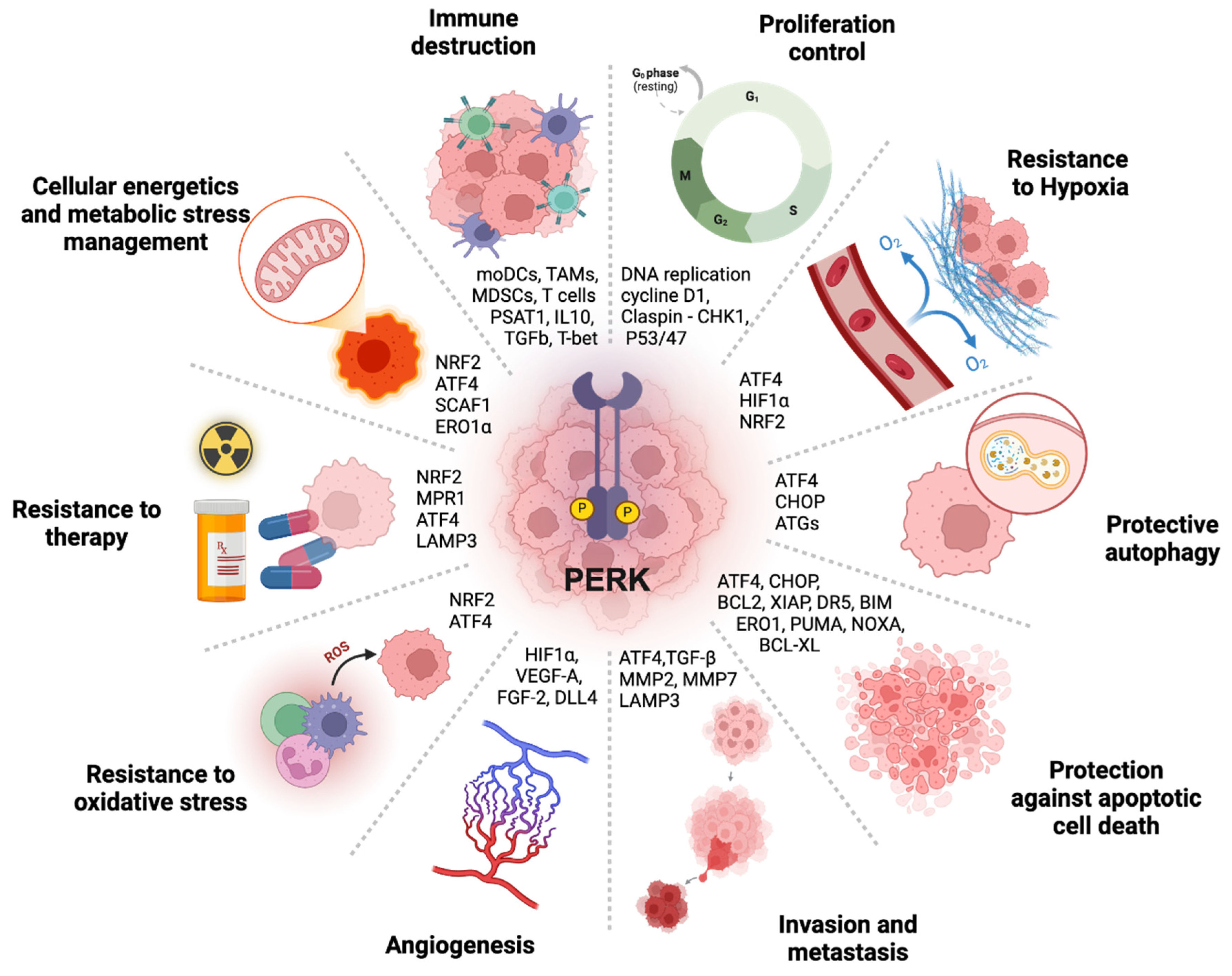Biomolecules 15 00248 g004