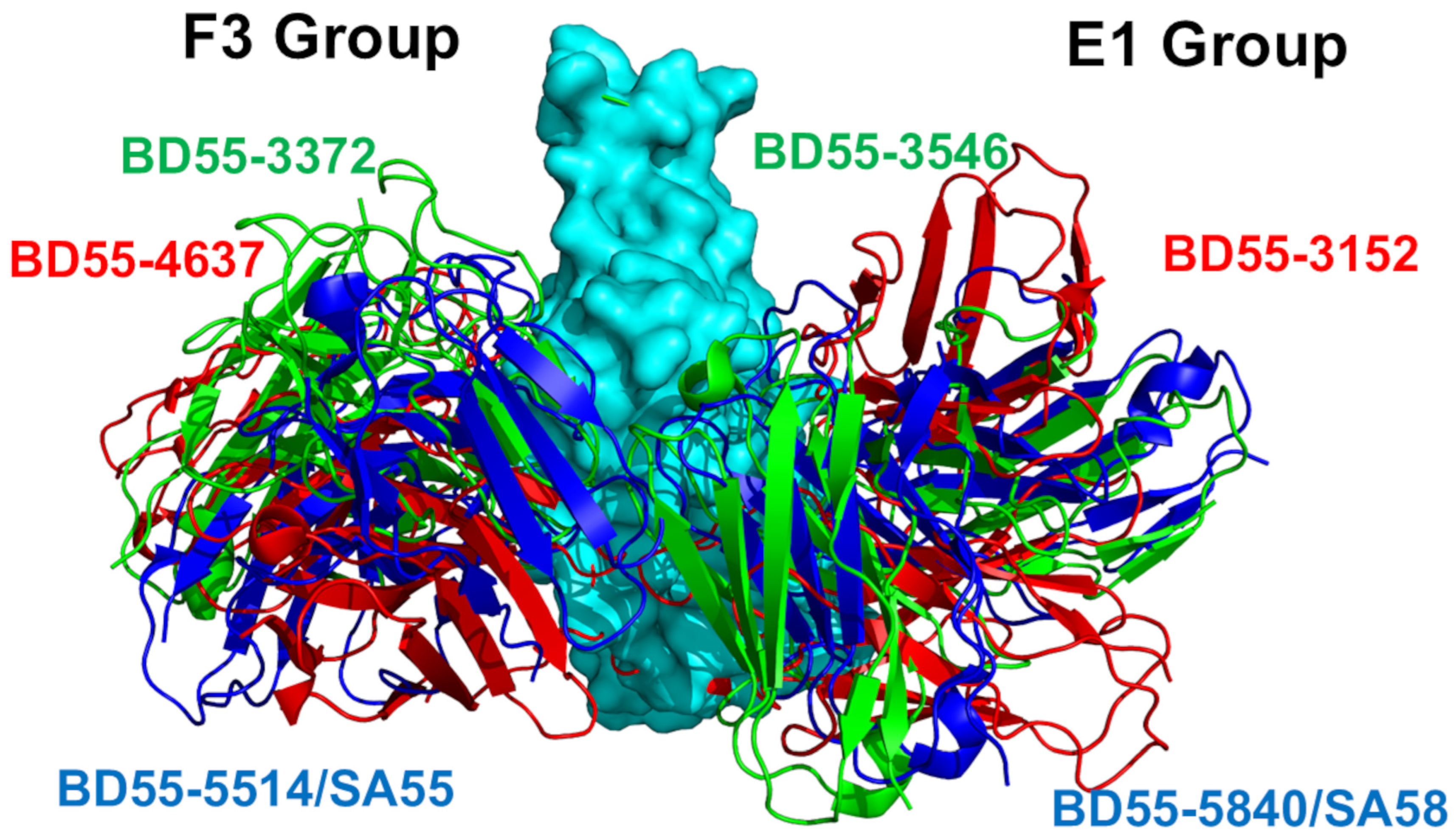 Biomolecules 15 00249 g001