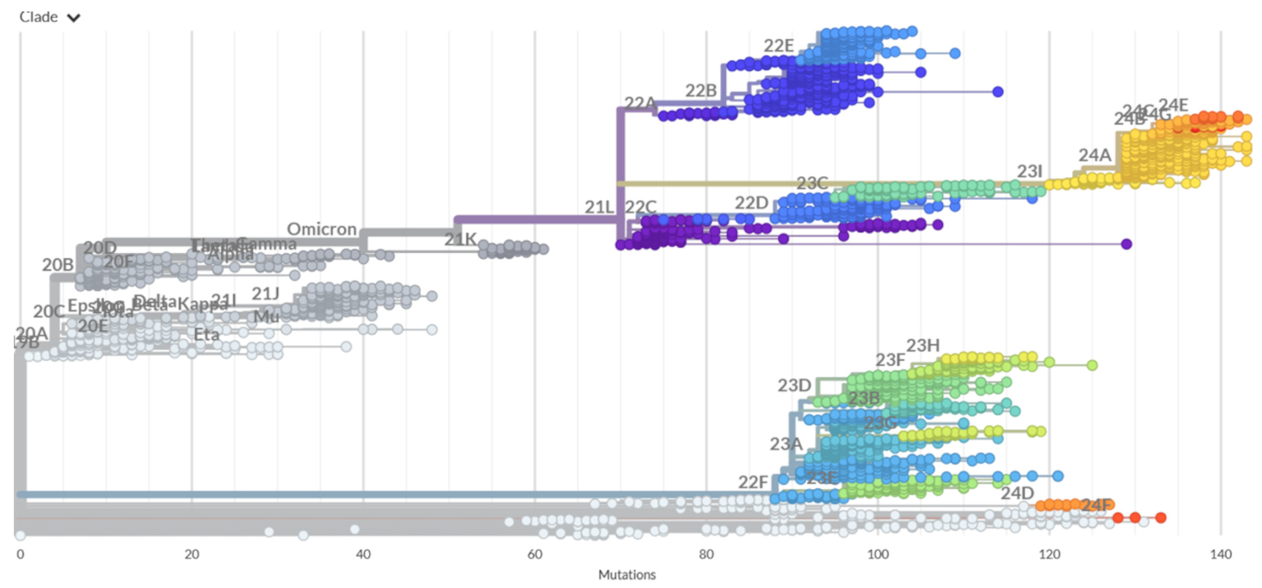 Biomolecules 15 00249 g002