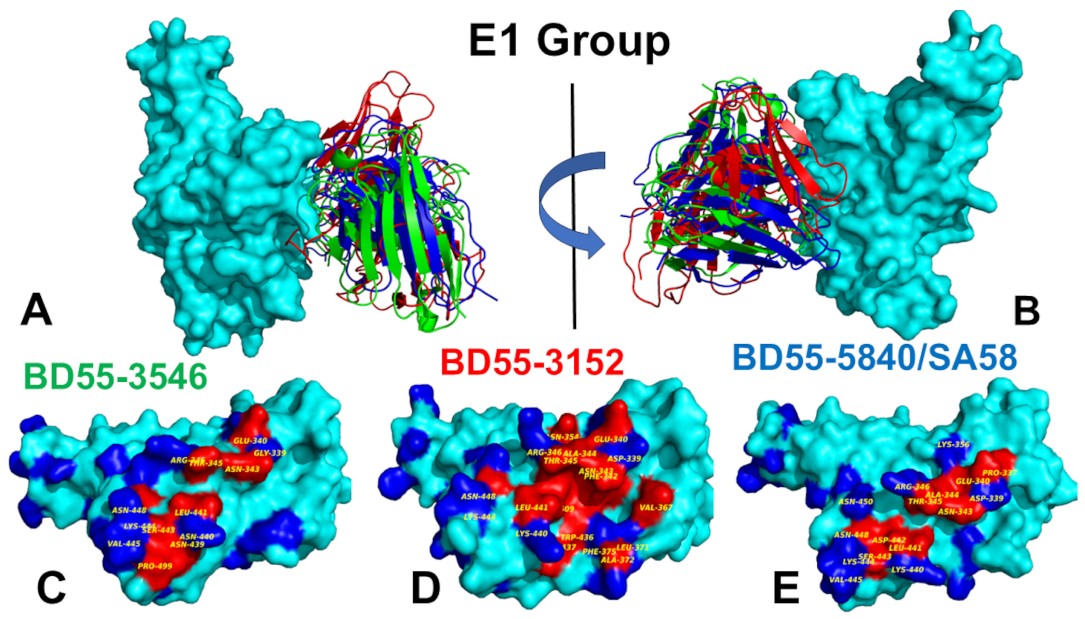 Biomolecules 15 00249 g003