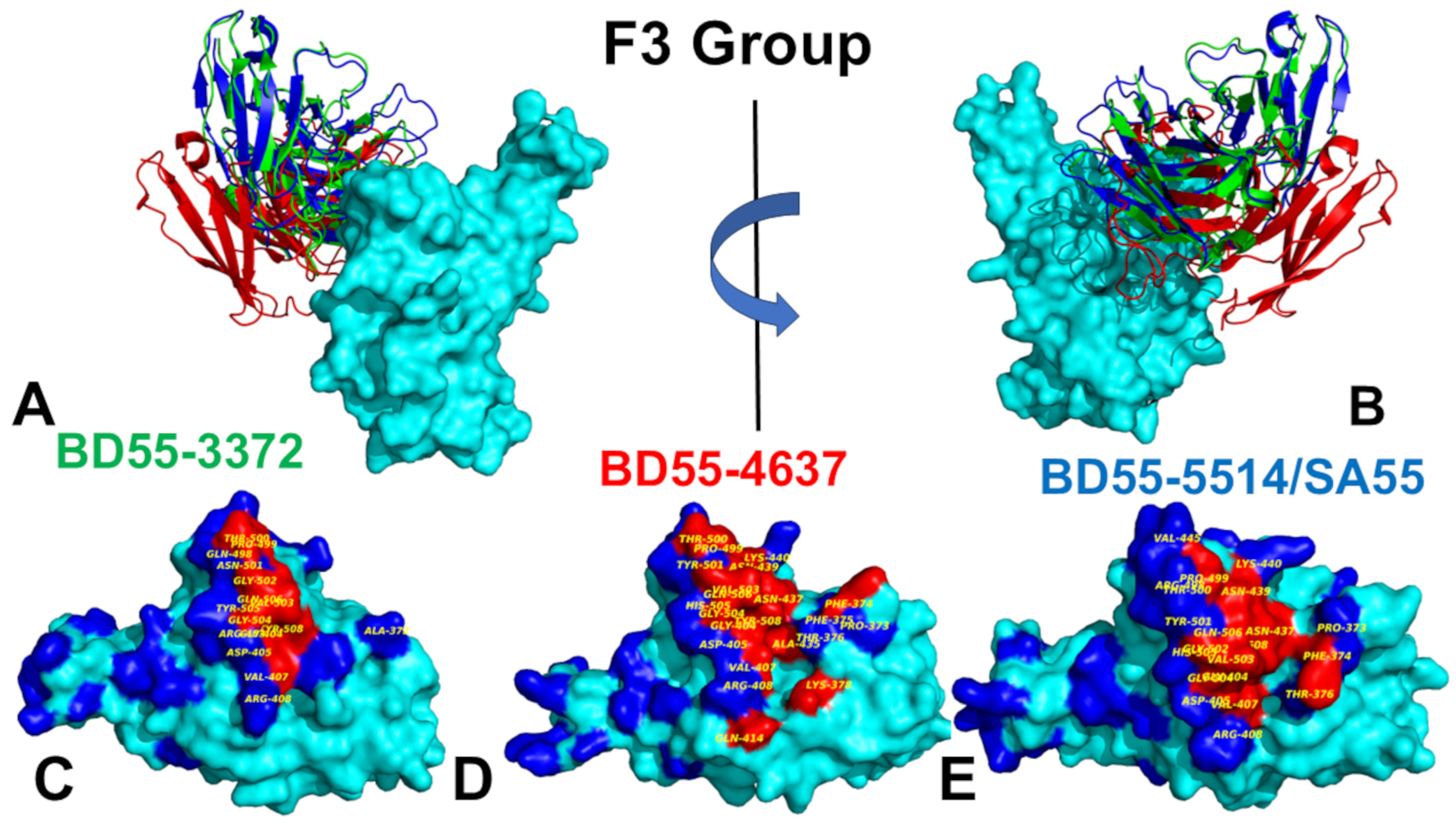 Biomolecules 15 00249 g004