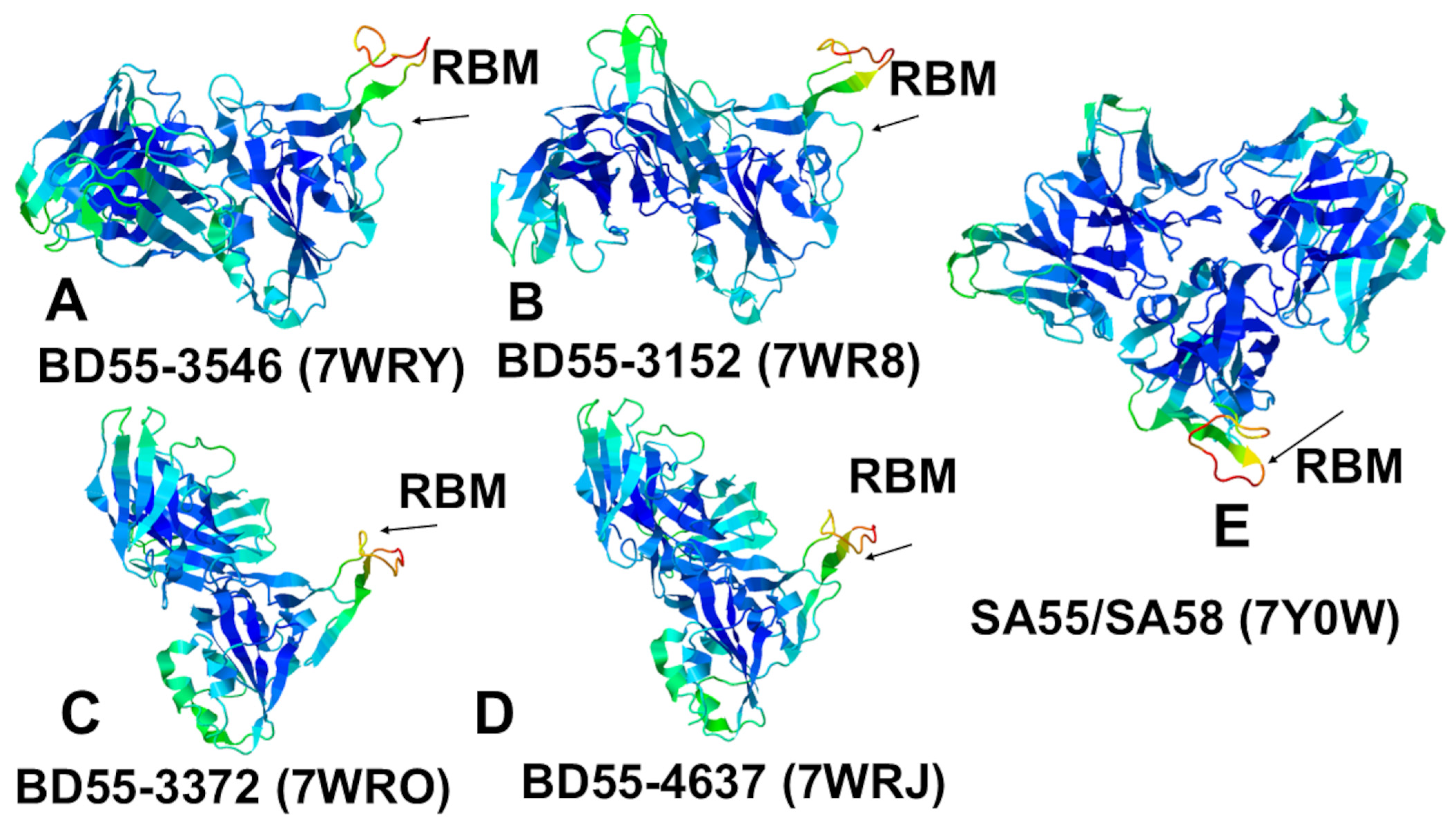 Biomolecules 15 00249 g006