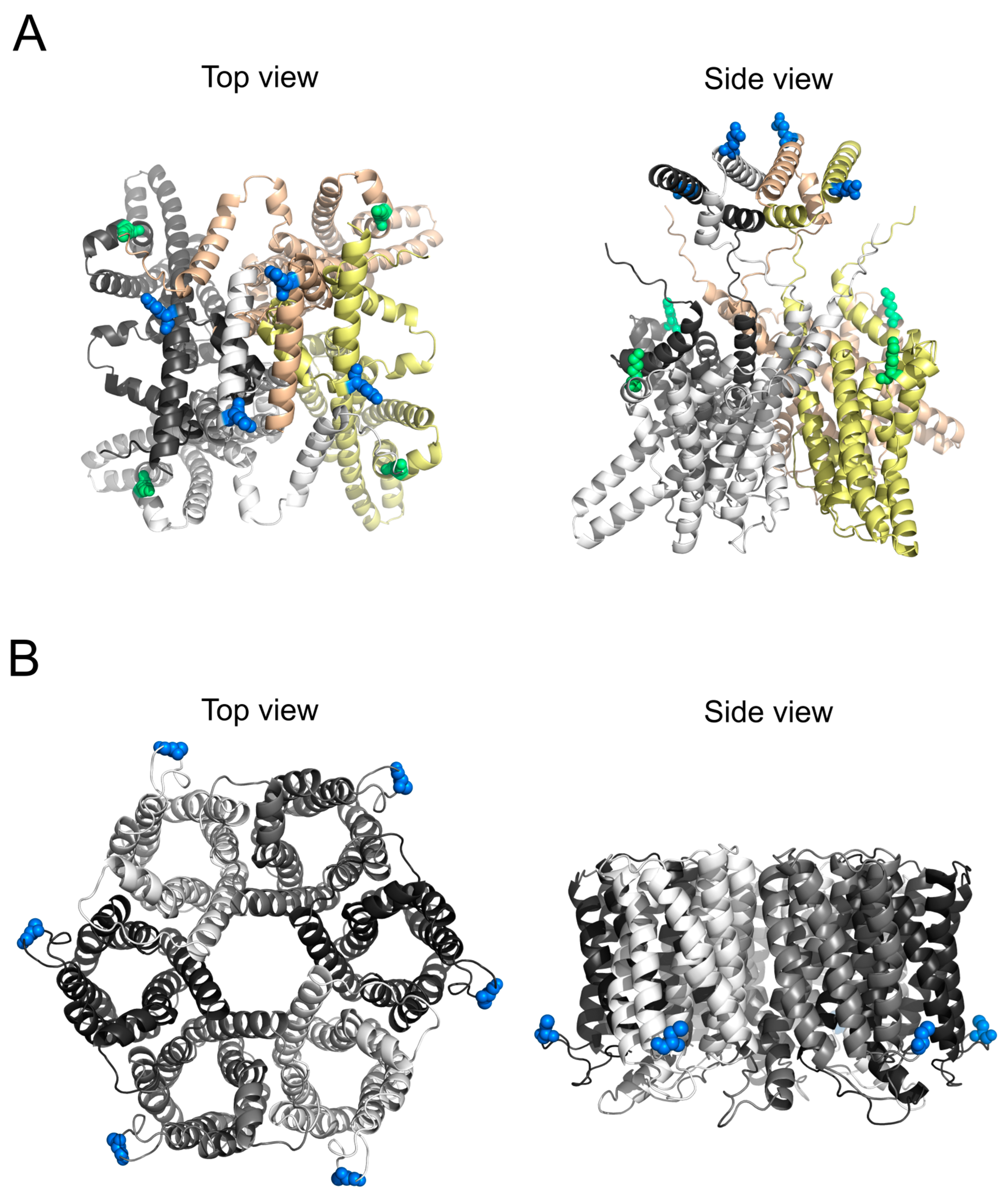 Biomolecules 15 00254 g001