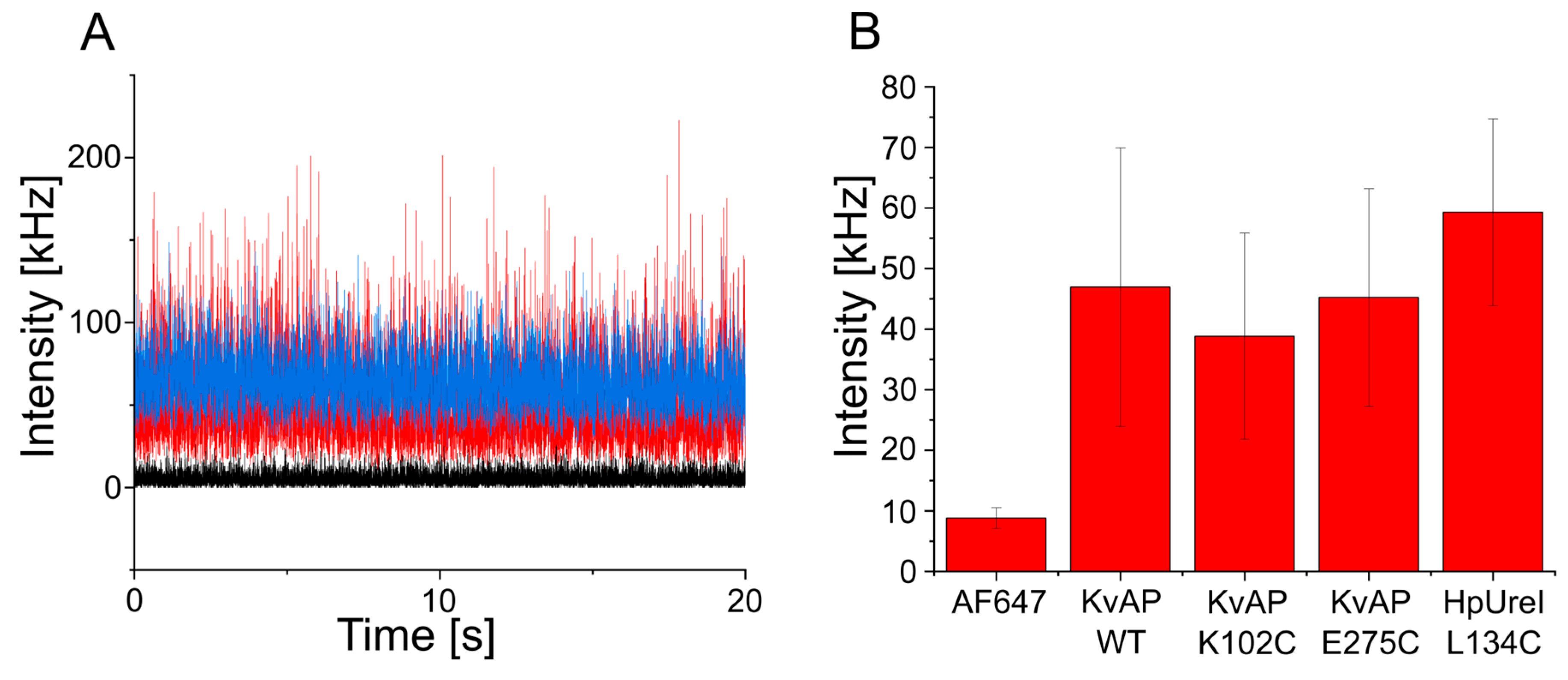 Biomolecules 15 00254 g004