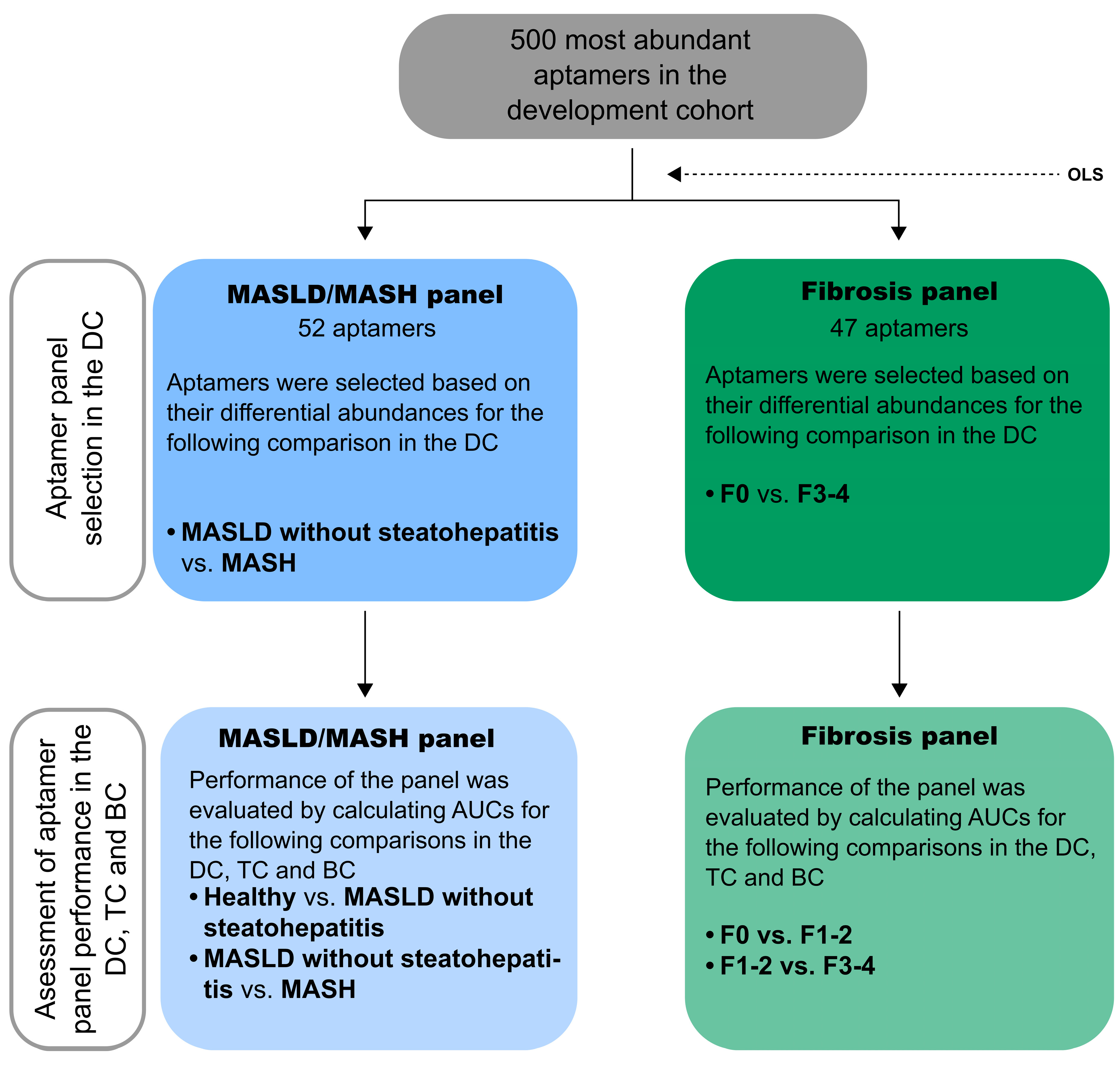 Biomolecules 15 00255 g001