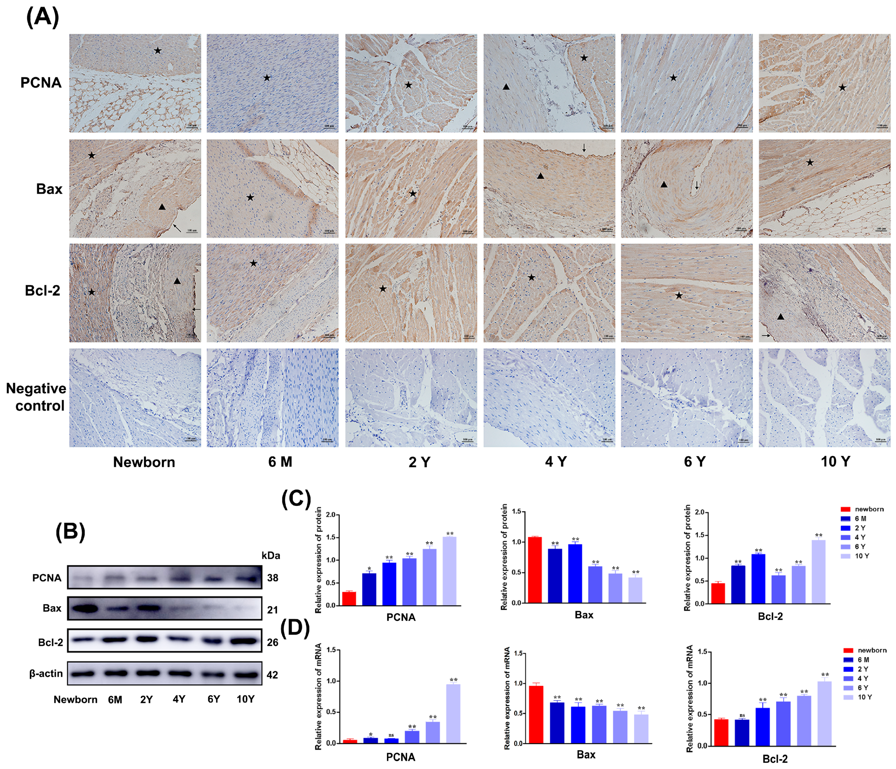 Biomolecules 15 00256 g001