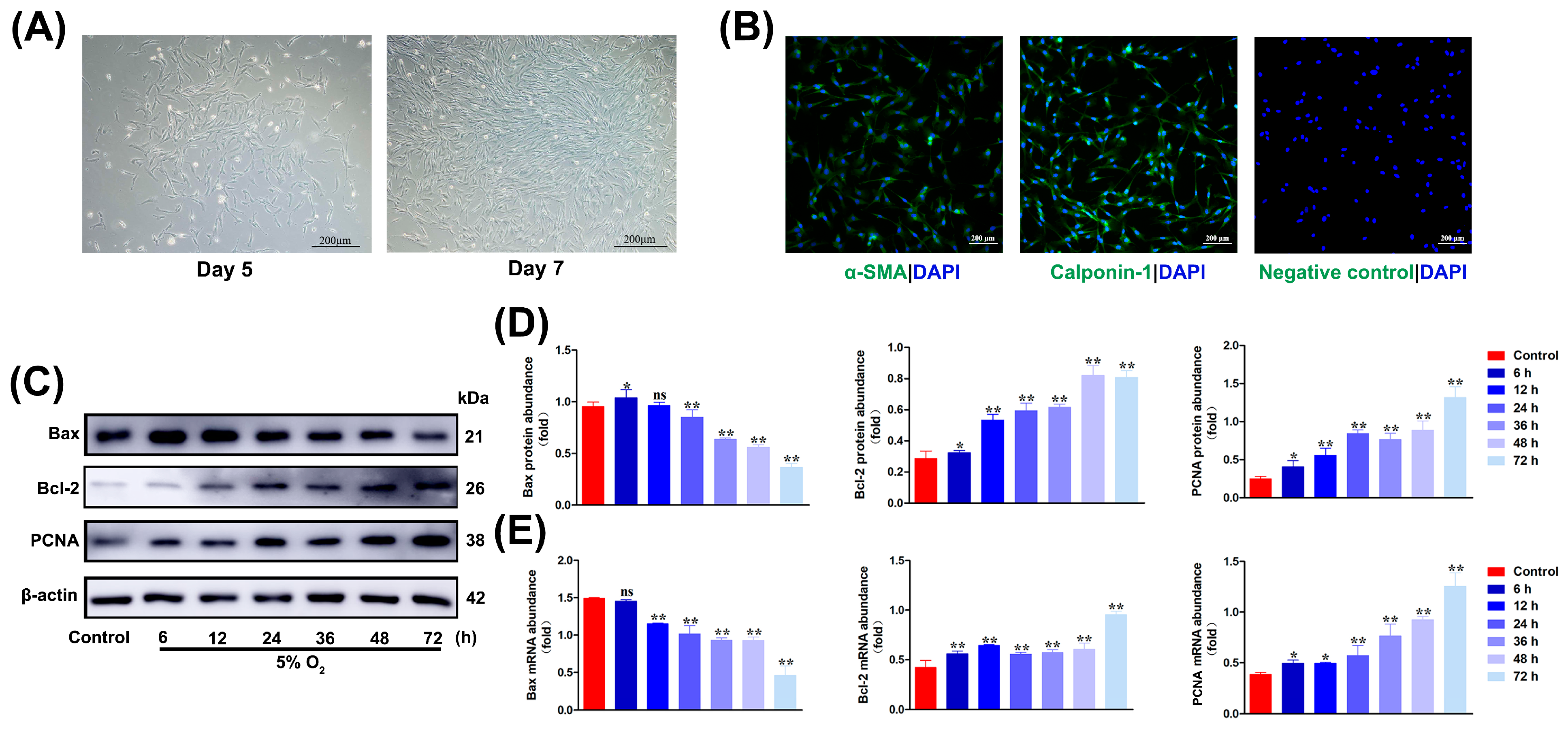Biomolecules 15 00256 g002