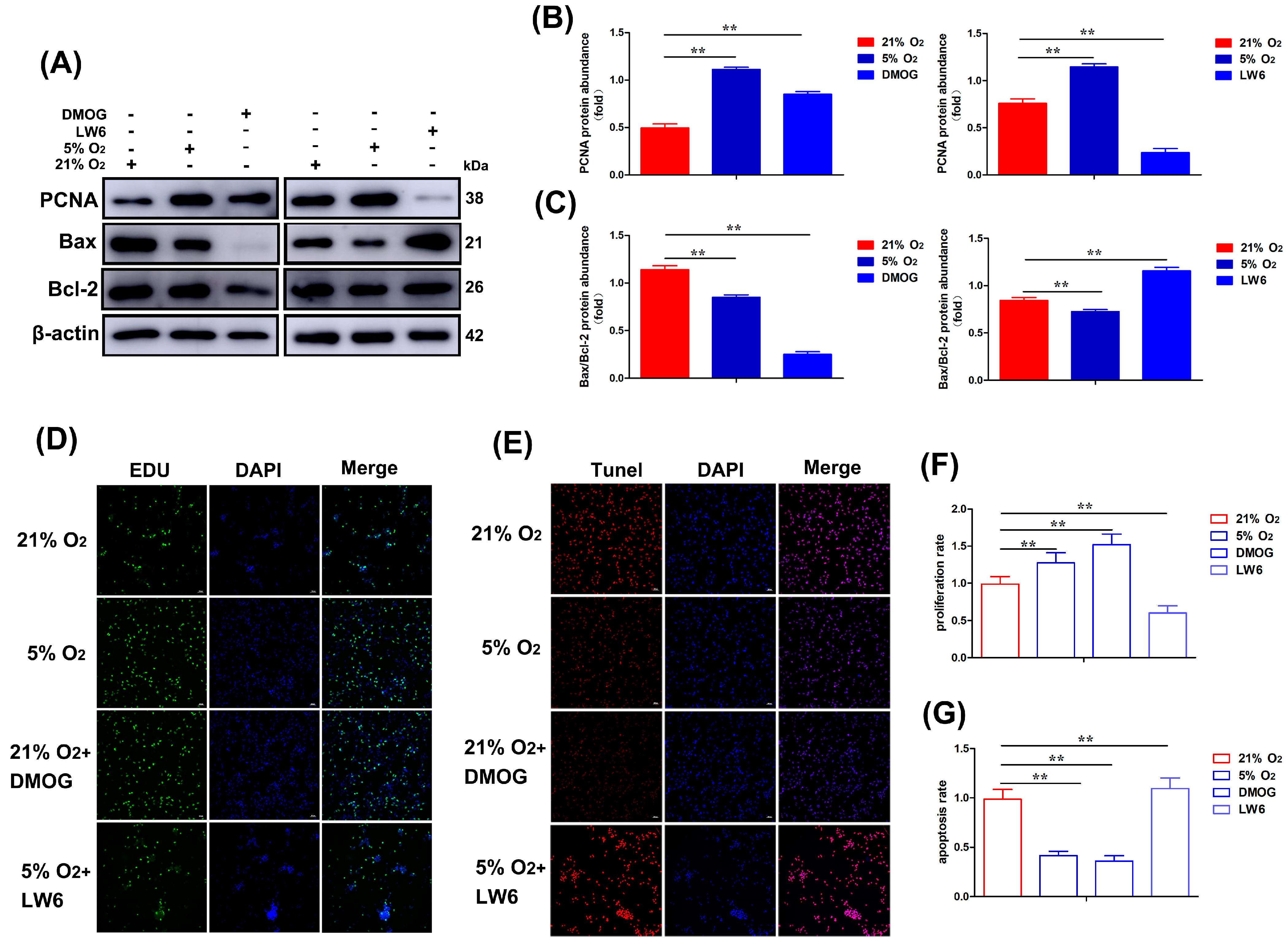 Biomolecules 15 00256 g005