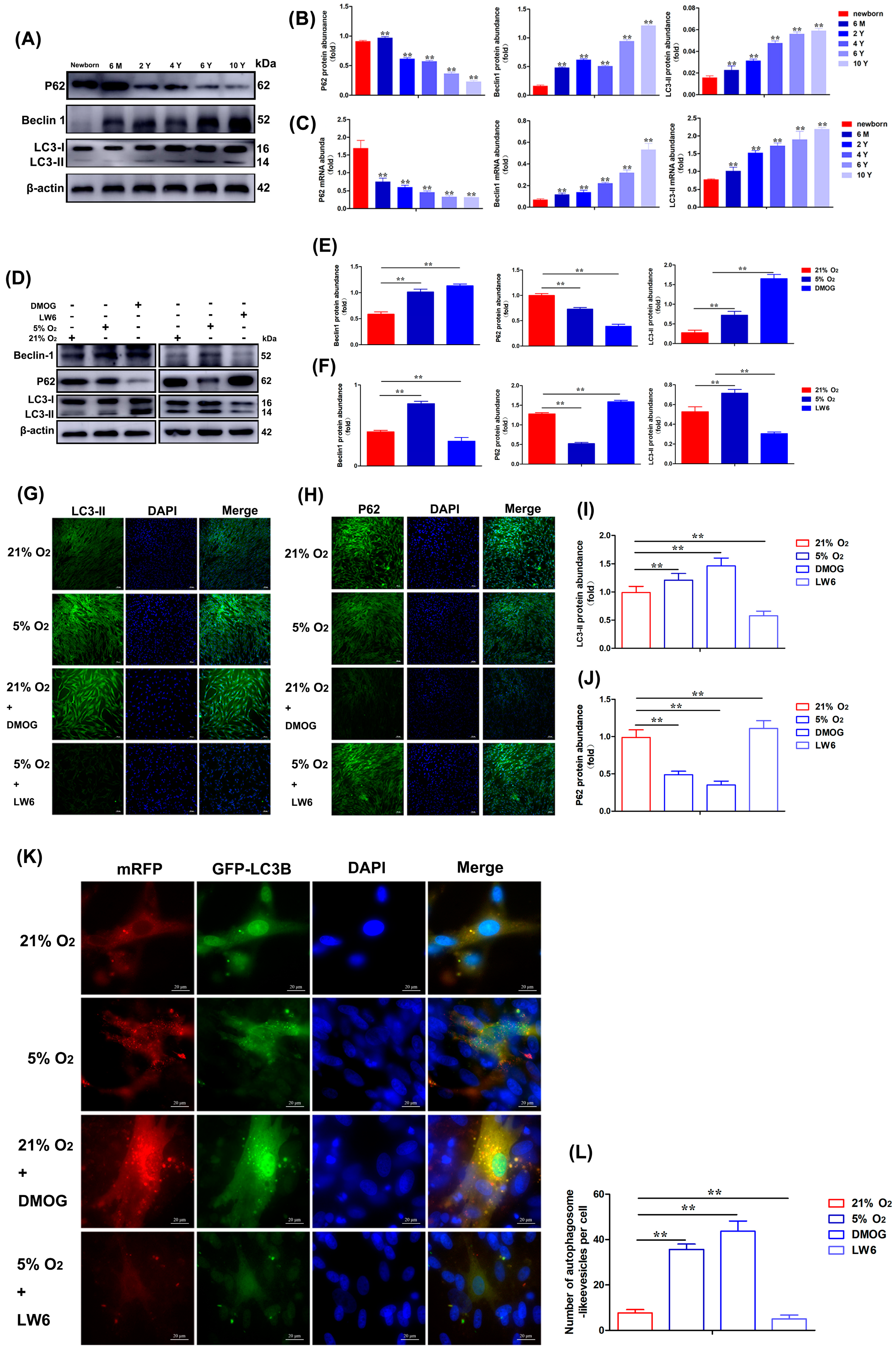 Biomolecules 15 00256 g006