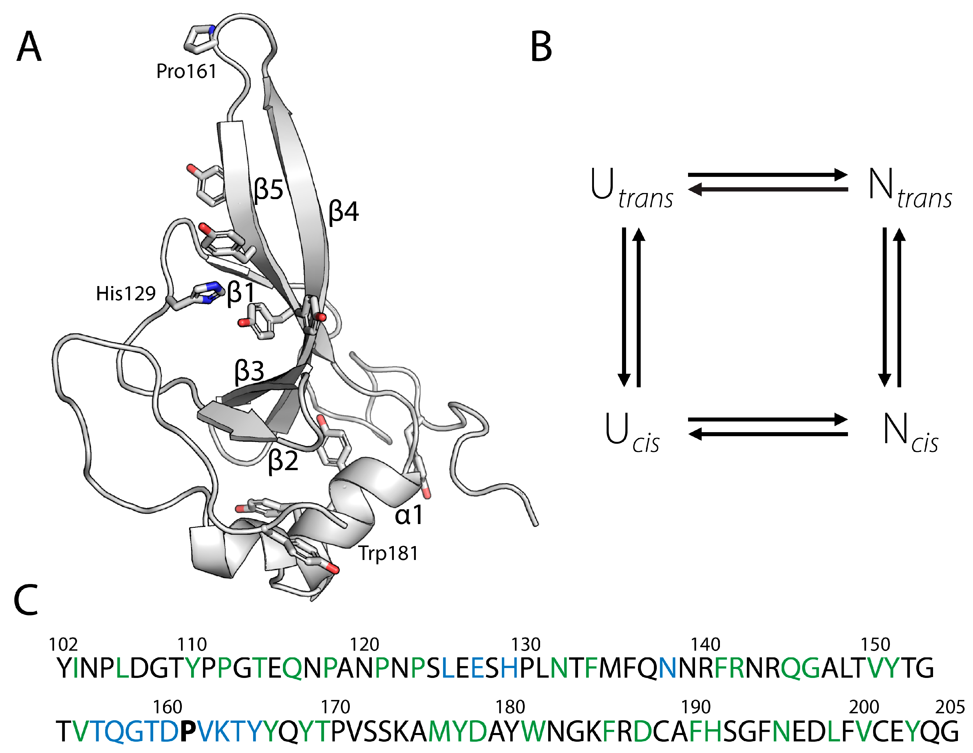 Biomolecules 15 00259 g001 Biomolecules 15 00259 g001