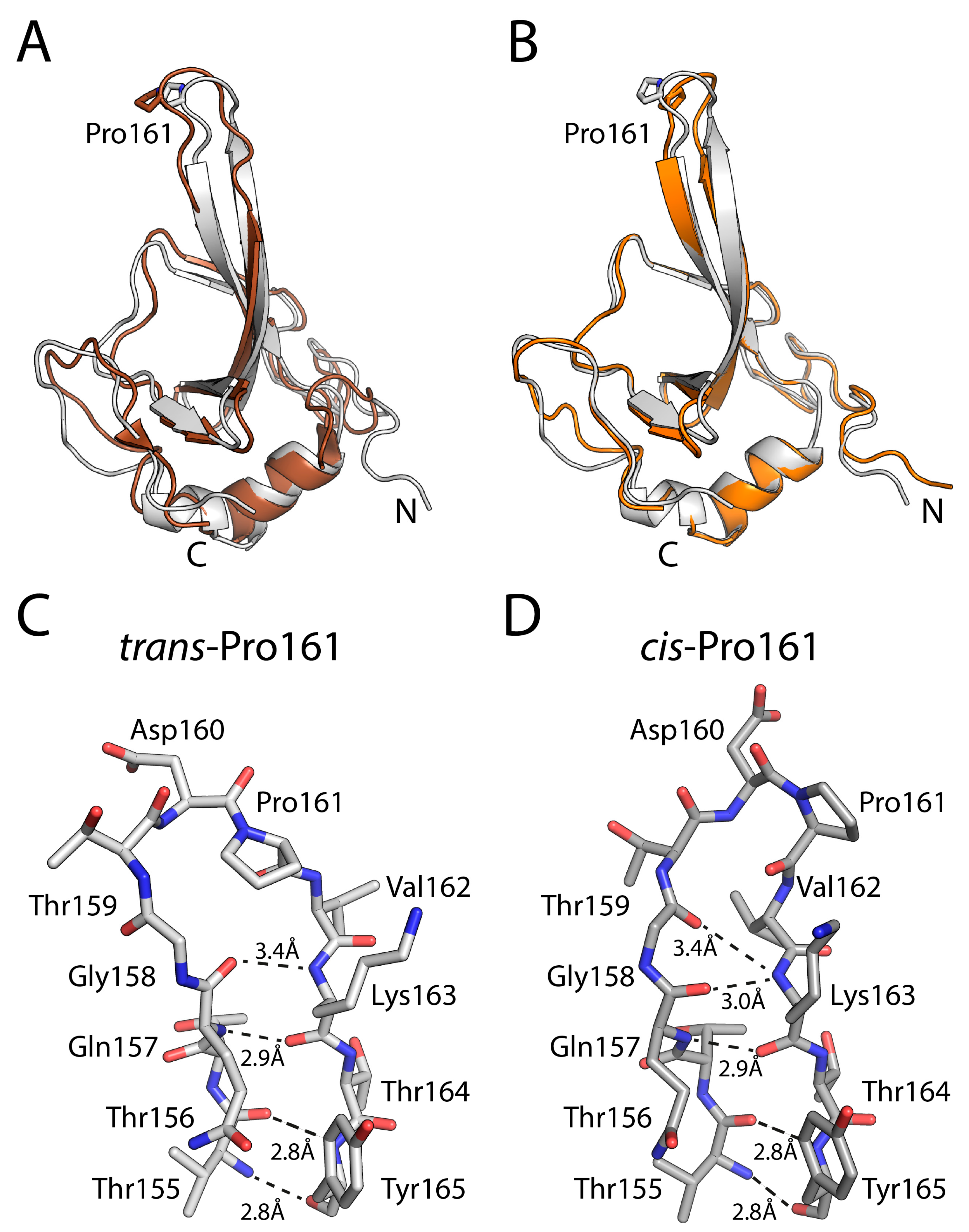 Biomolecules 15 00259 g006 Biomolecules 15 00259 g006