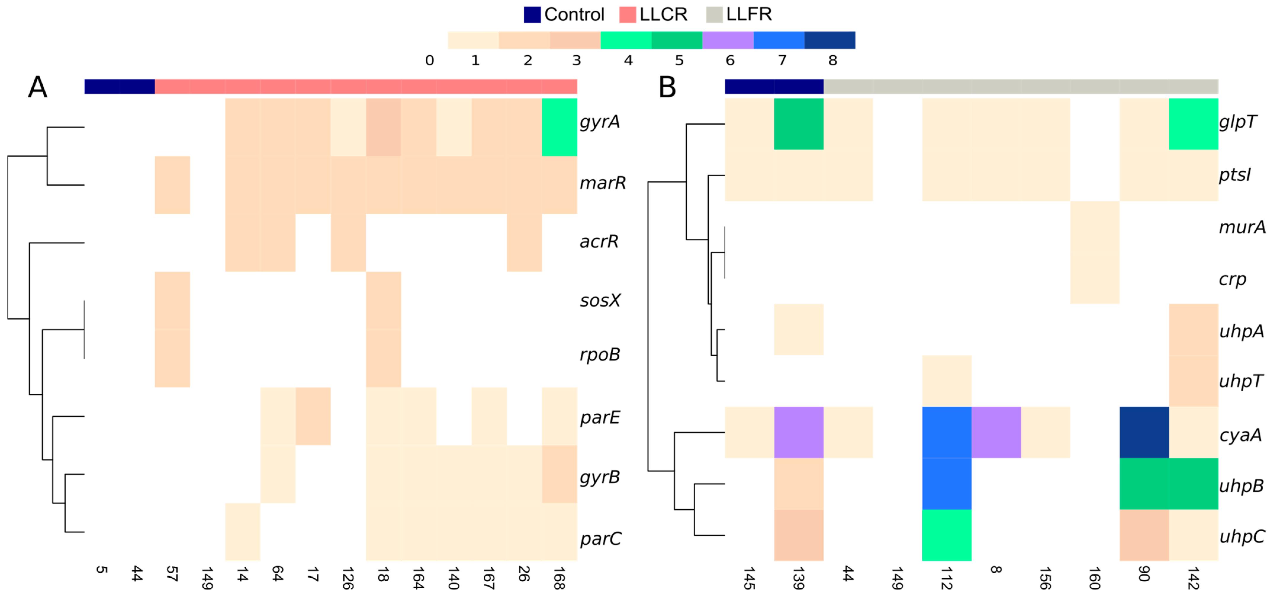 Biomolecules 15 00260 g001