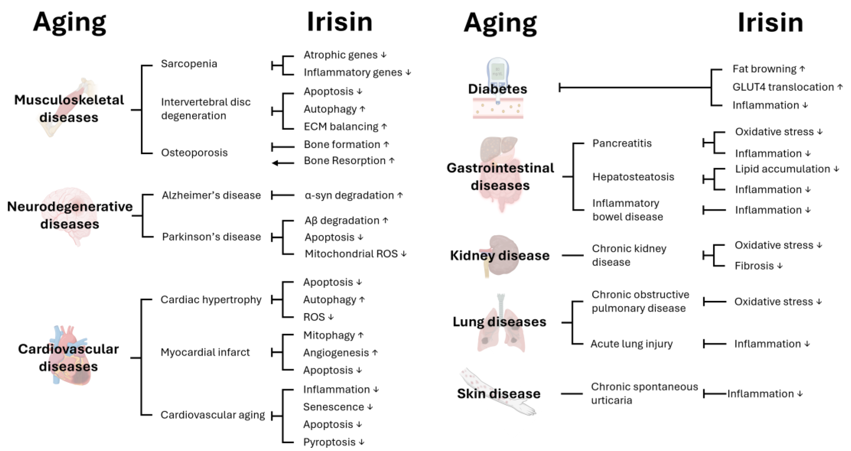 Biomolecules 15 00261 g001