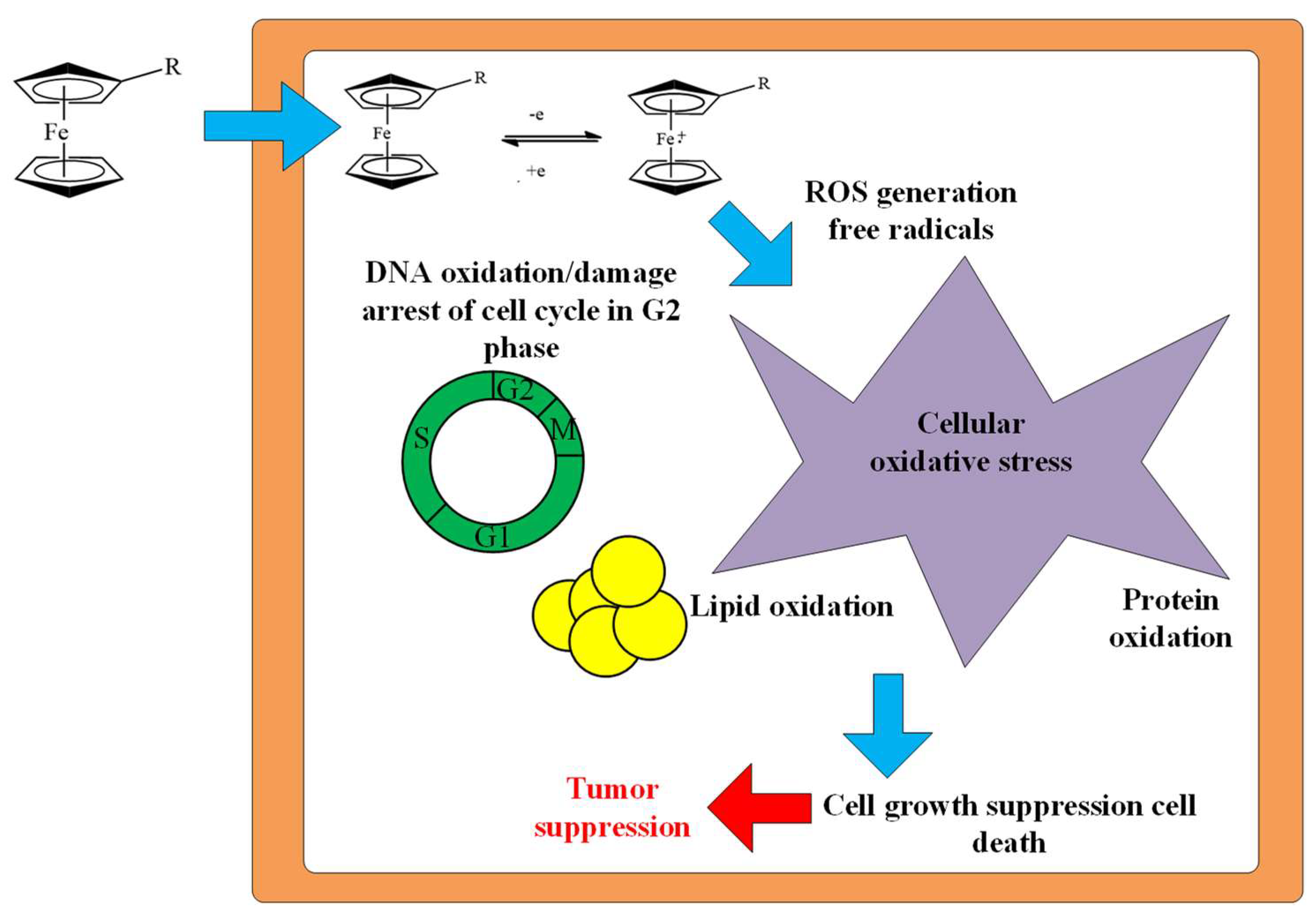 Biomolecules 15 00262 g015