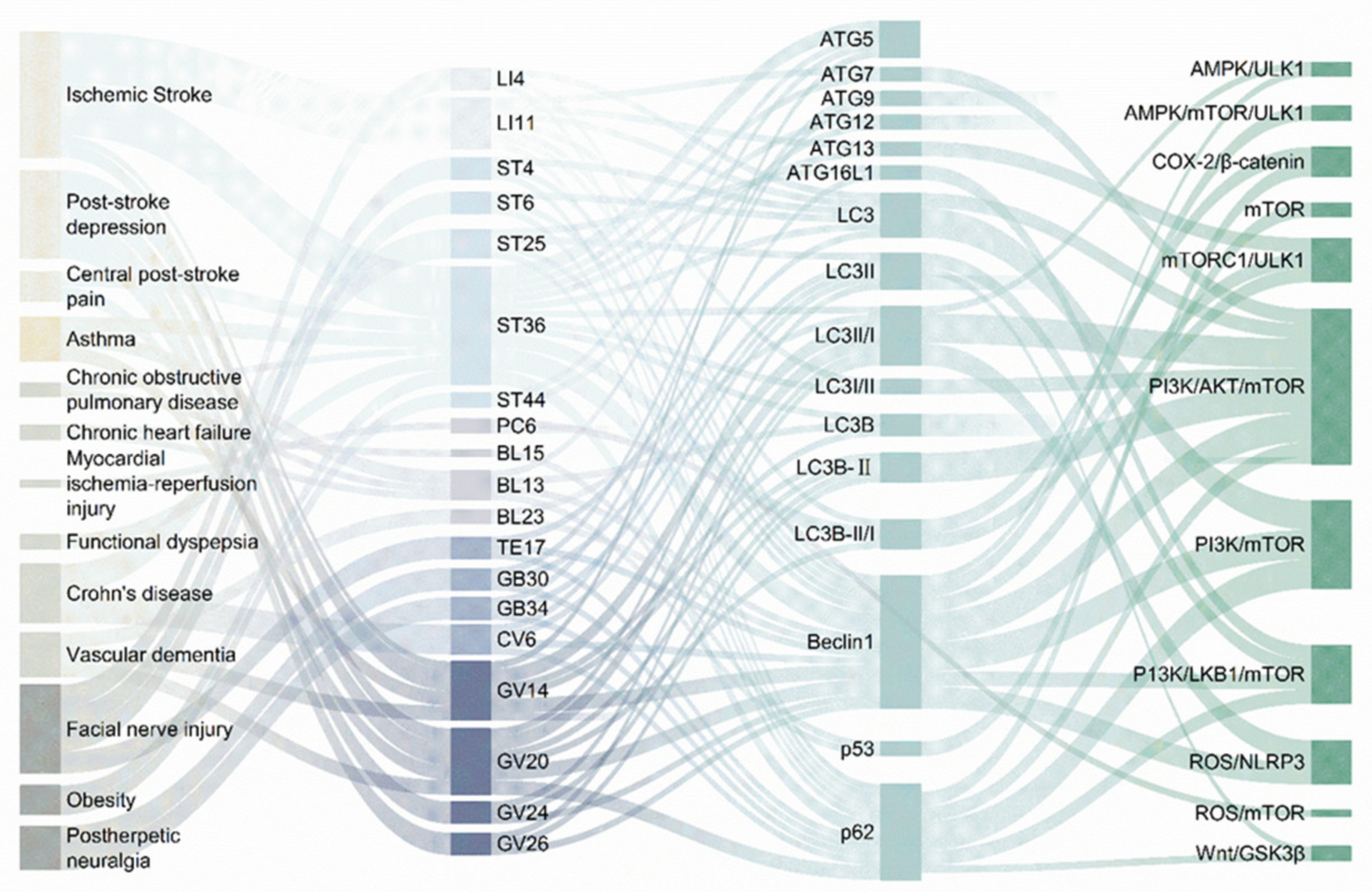 Biomolecules 15 00263 g003