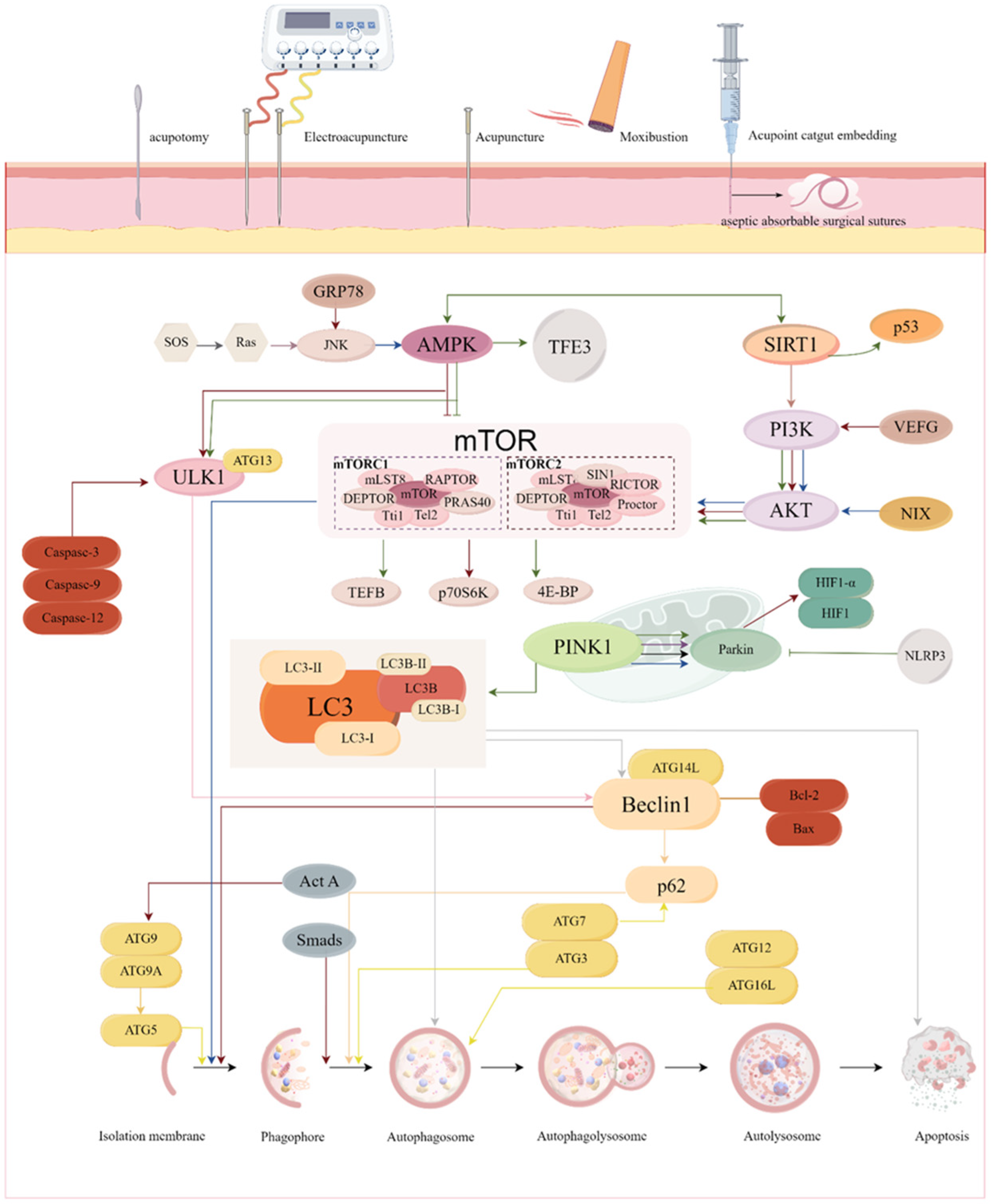 Biomolecules 15 00263 g004