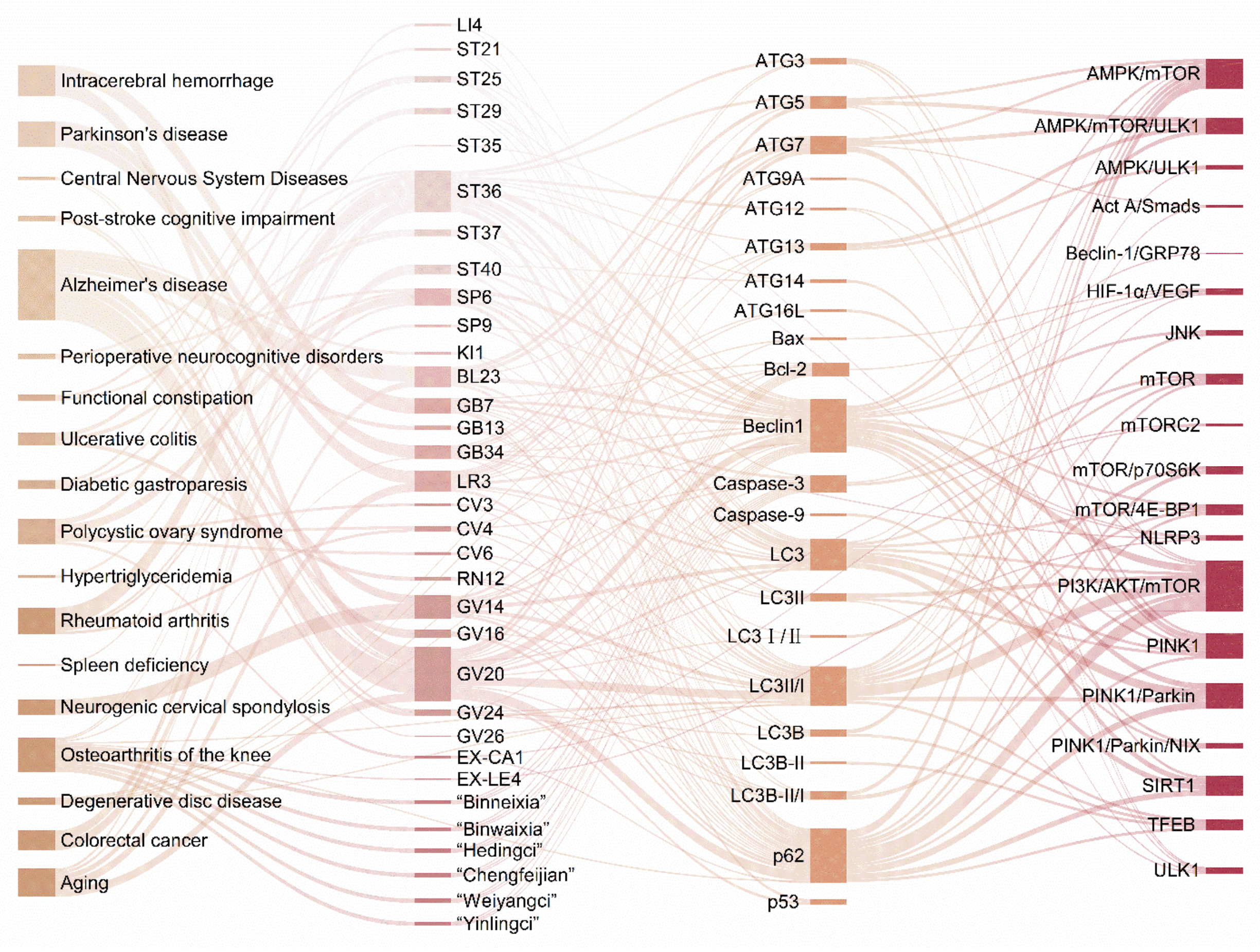 Biomolecules 15 00263 g005