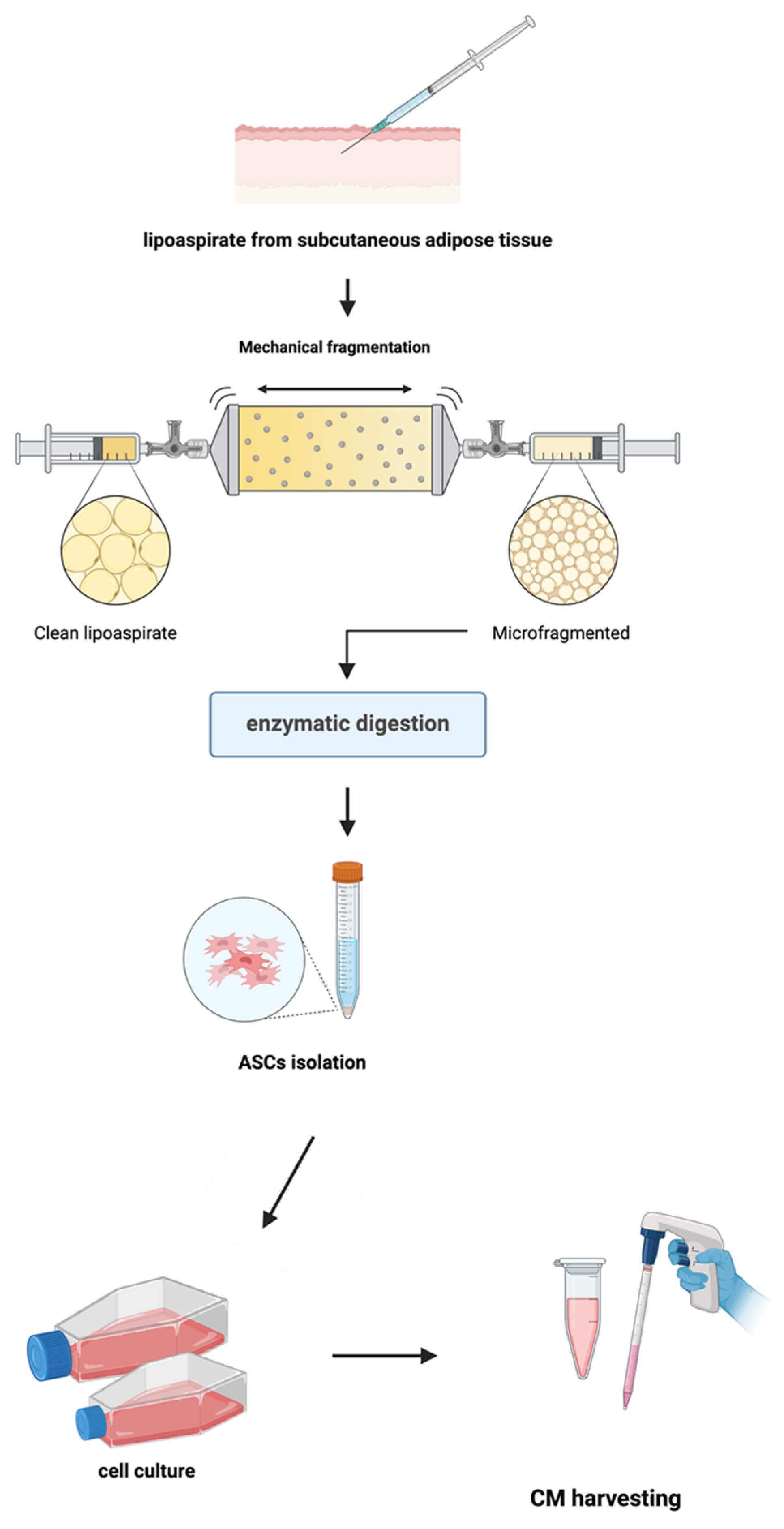 Biomolecules 15 00264 g001
