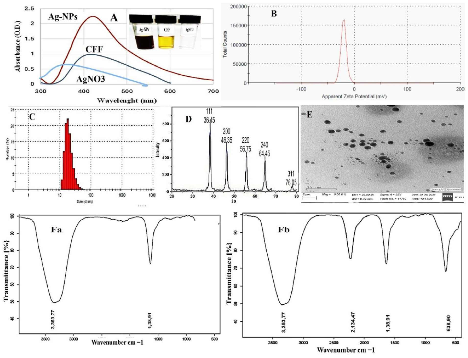 Biomolecules 15 00266 g001 Biomolecules 15 00266 g001