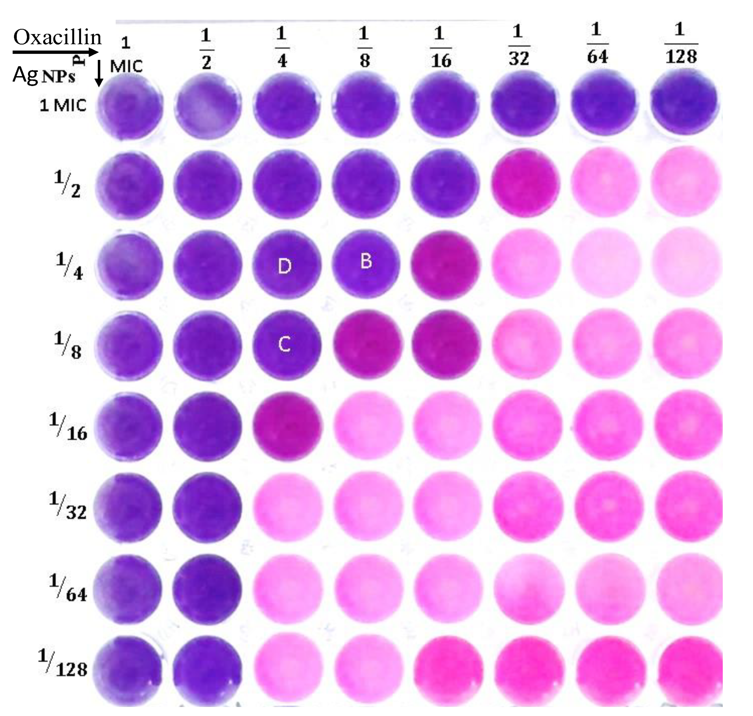 Biomolecules 15 00266 g004 Biomolecules 15 00266 g004