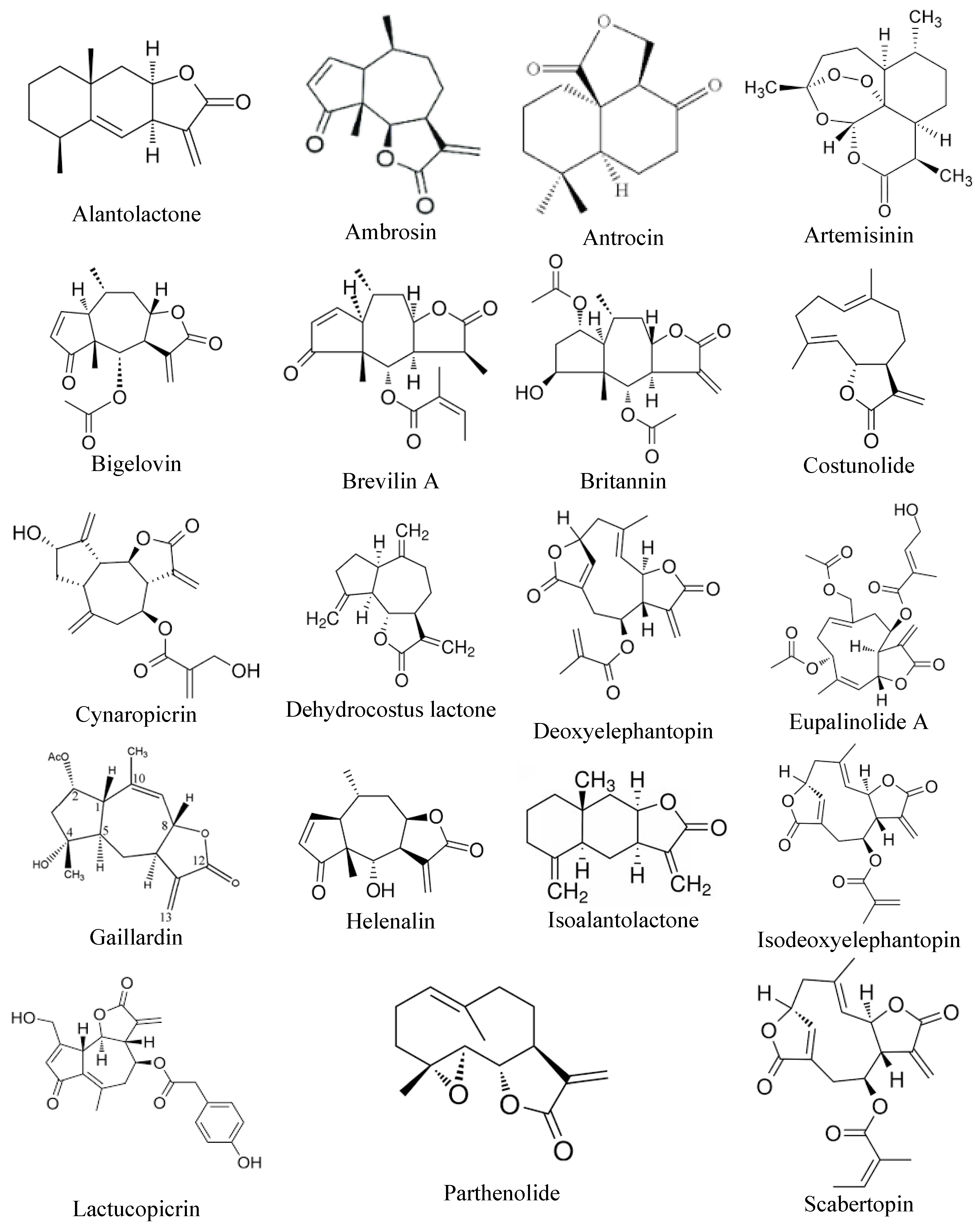 Biomolecules 15 00268 g002